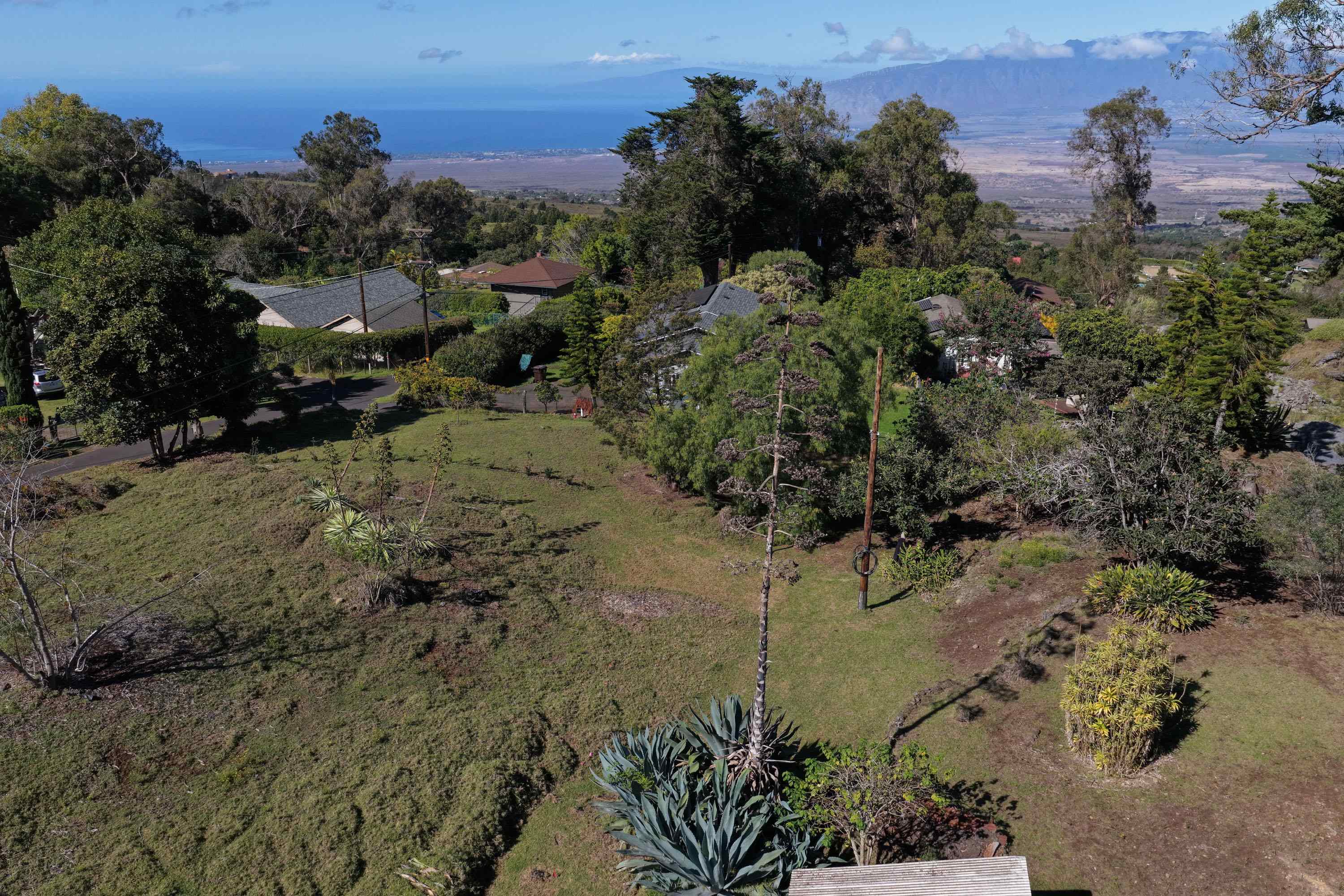 1575 Kamehameiki Rd   - photo 31 of 39
