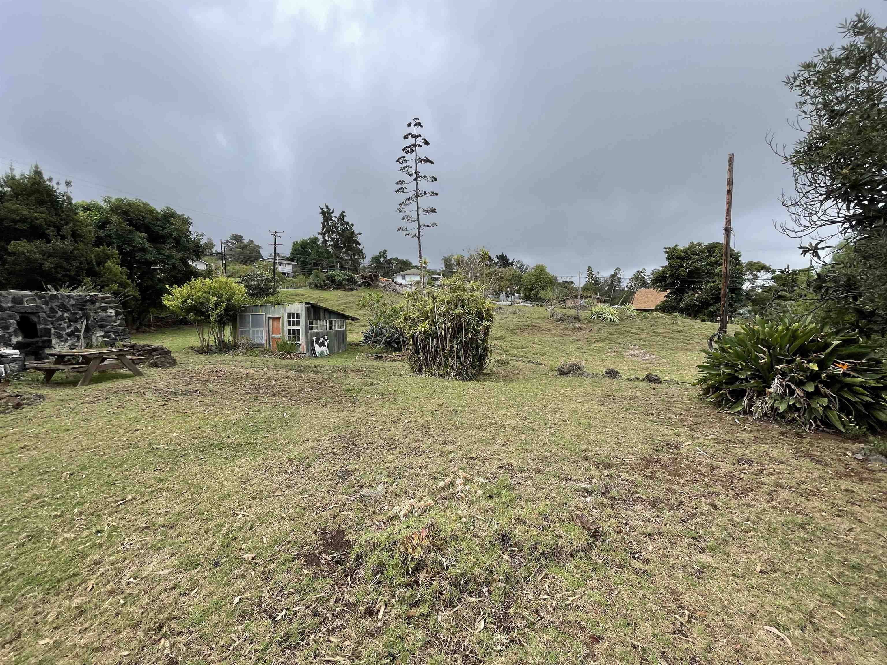 1575 Kamehameiki Rd   - photo 7 of 39
