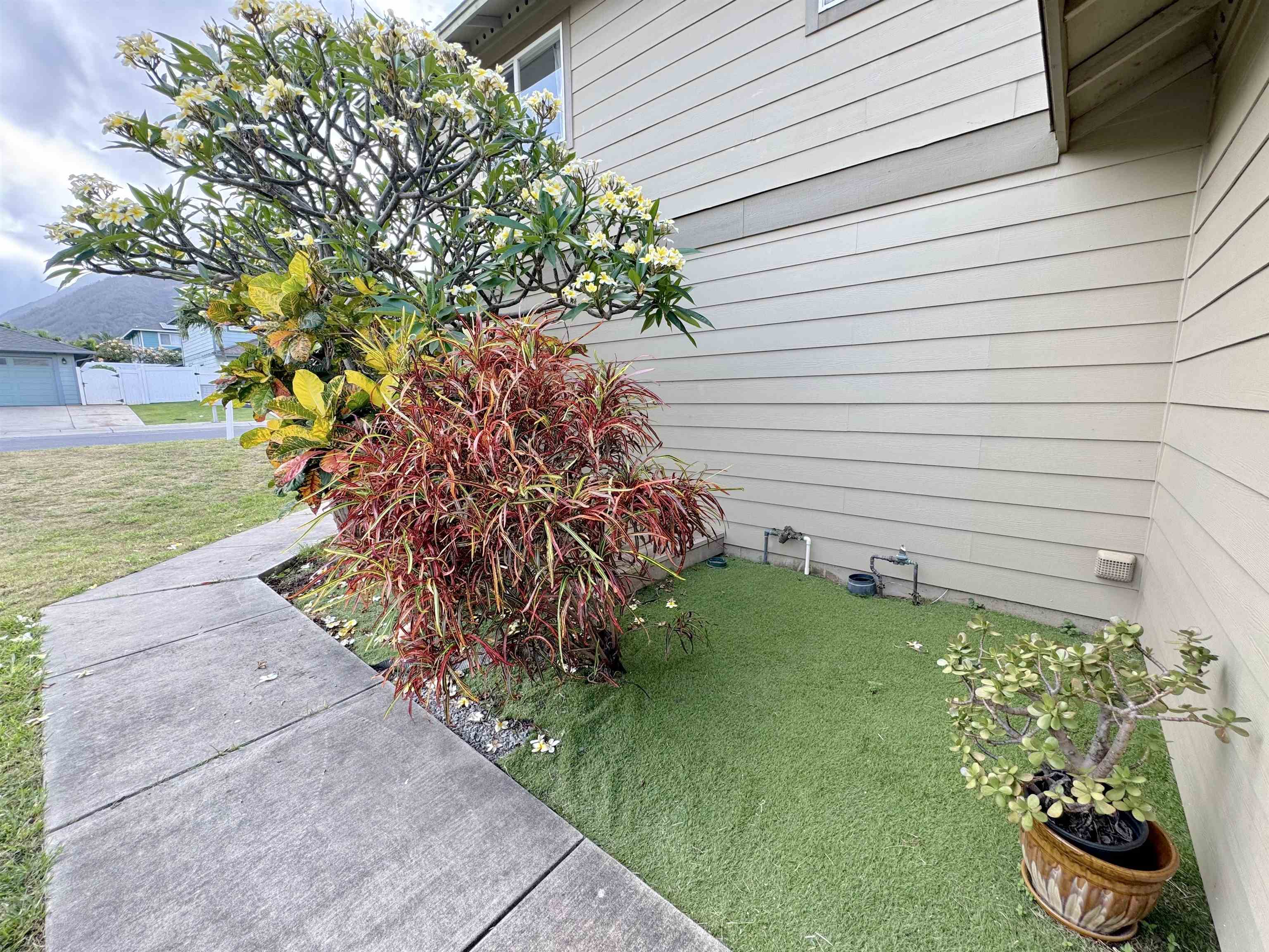 159  Iniiniki St Waikapu, Wailuku home - photo 20 of 28