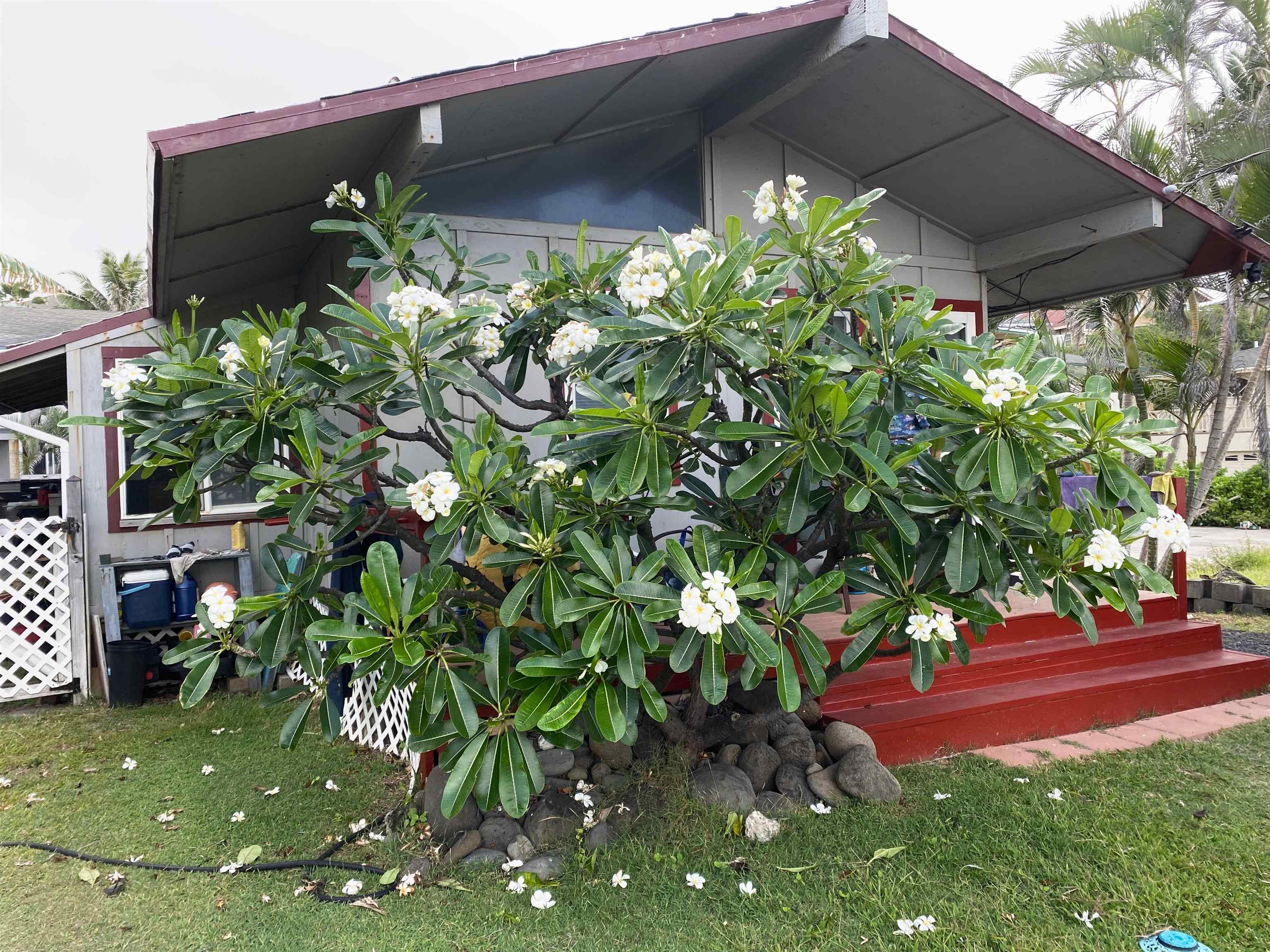 159  Lower Waiehu Beach Rd , Wailuku home - photo 2 of 13