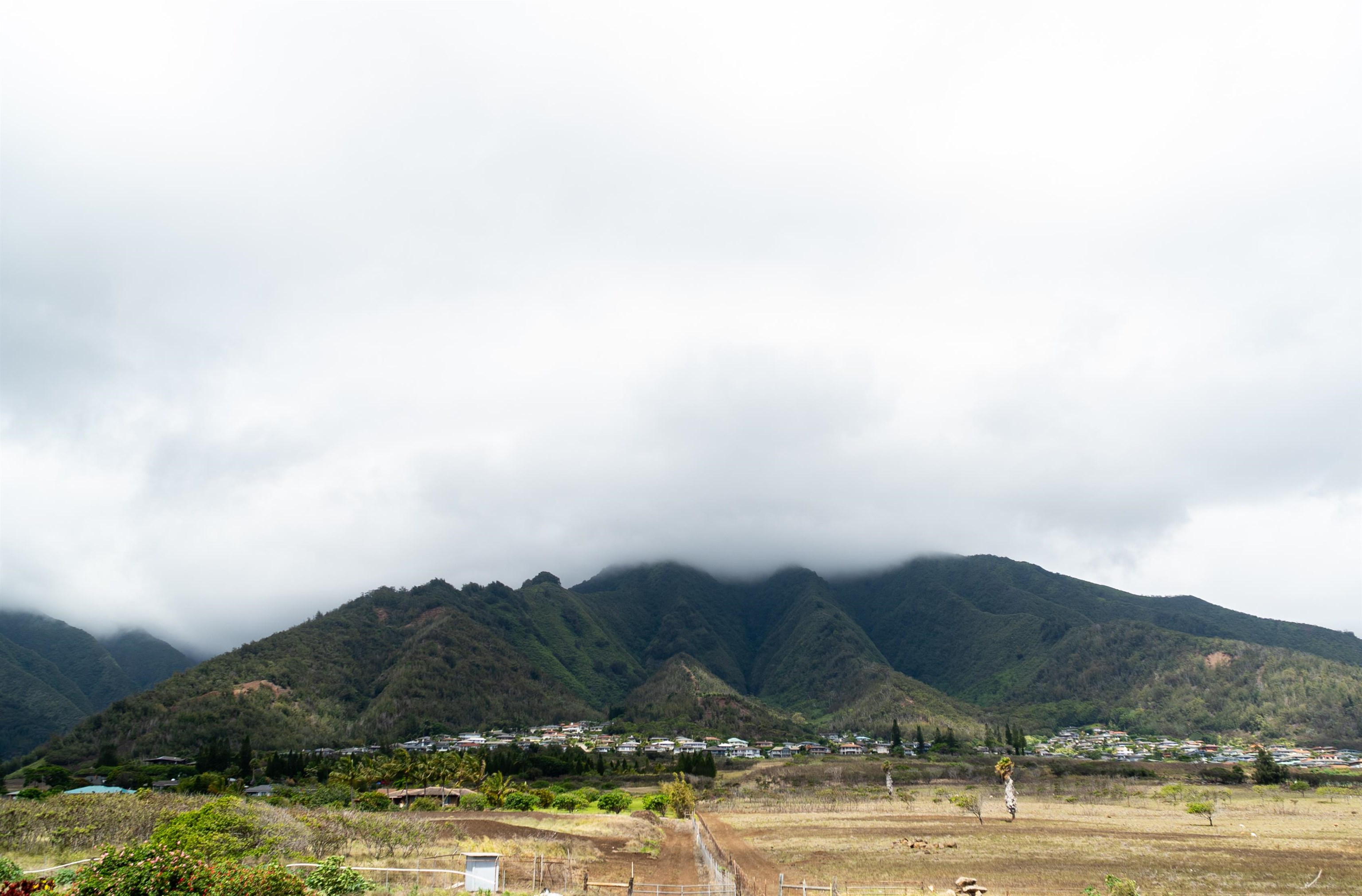 159  Moolu Cir , Wailuku home - photo 22 of 25