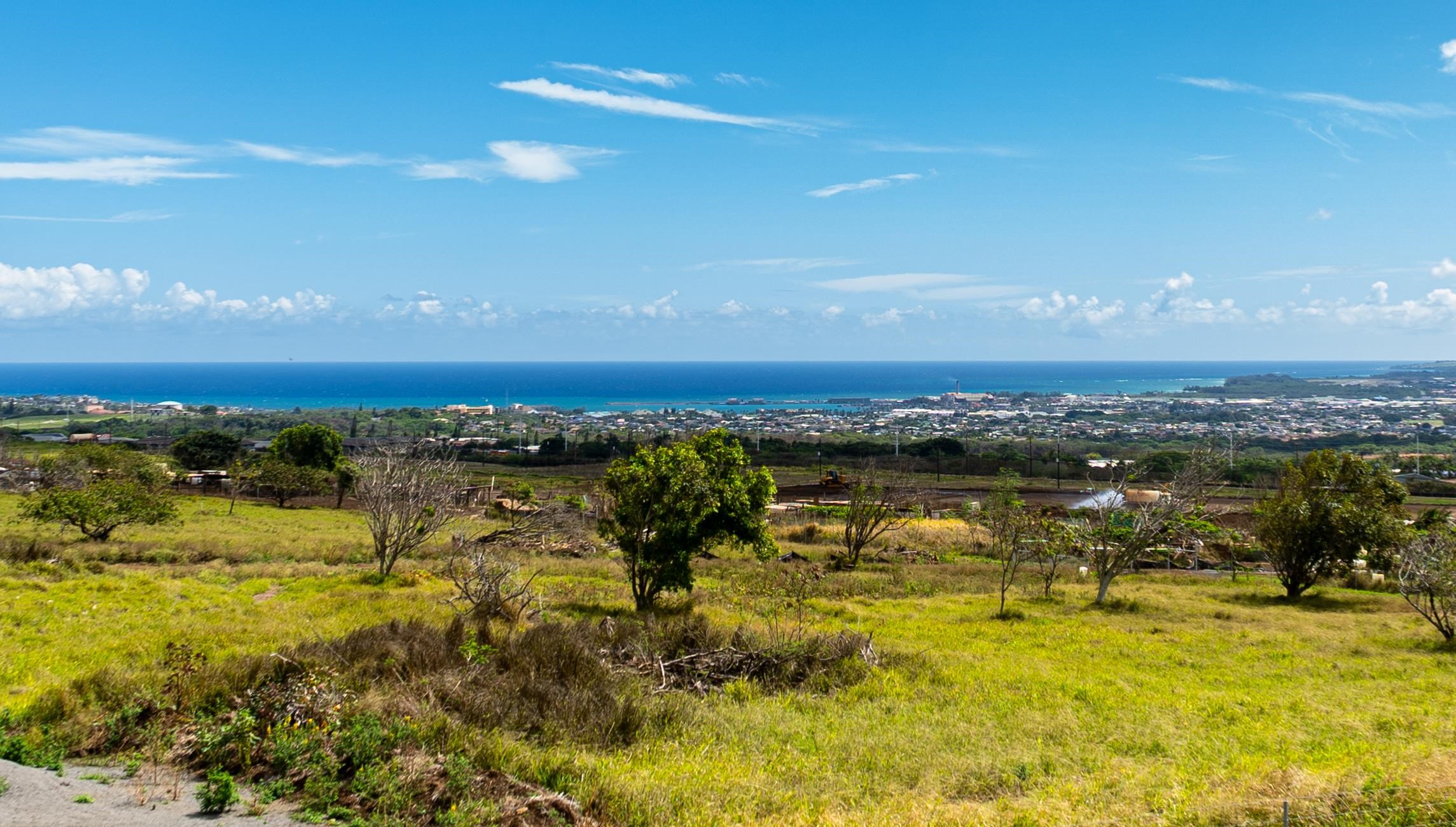 159  Moolu Cir , Wailuku home - photo 23 of 25