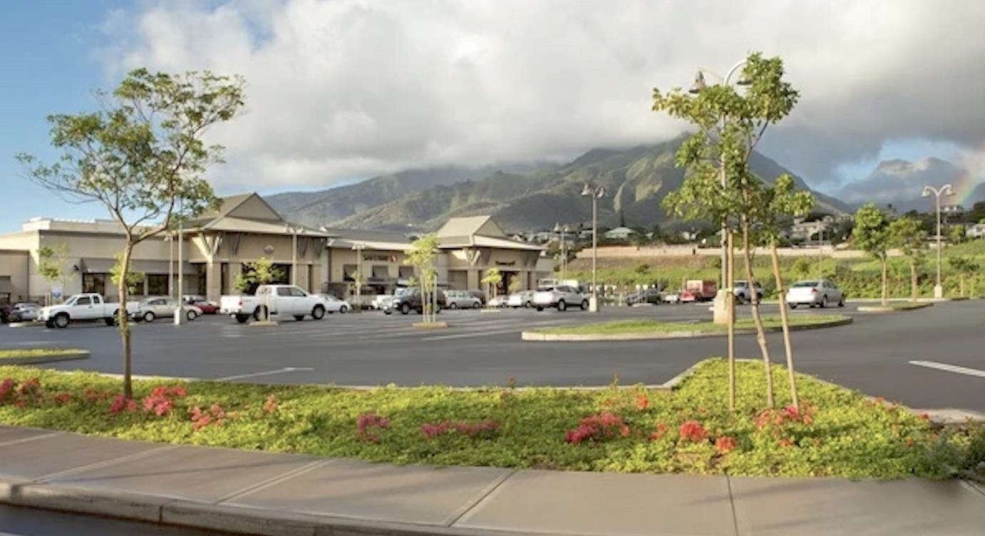 159  Pua Kalaunu Loop Kehalani, Wailuku home - photo 41 of 42
