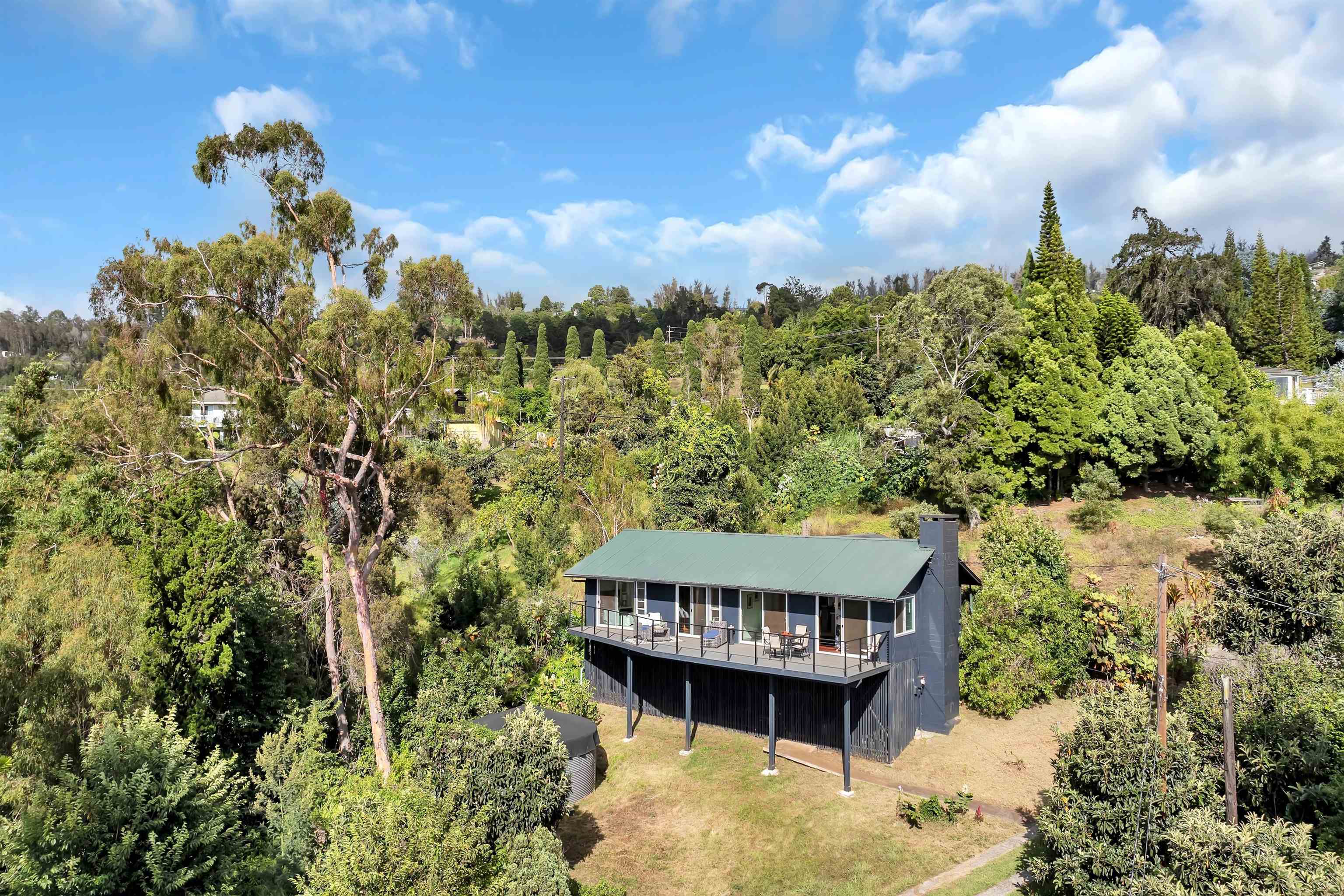 15980  Haleakala Hwy Crater Road, Kula/Ulupalakua/Kanaio home - photo 23 of 27