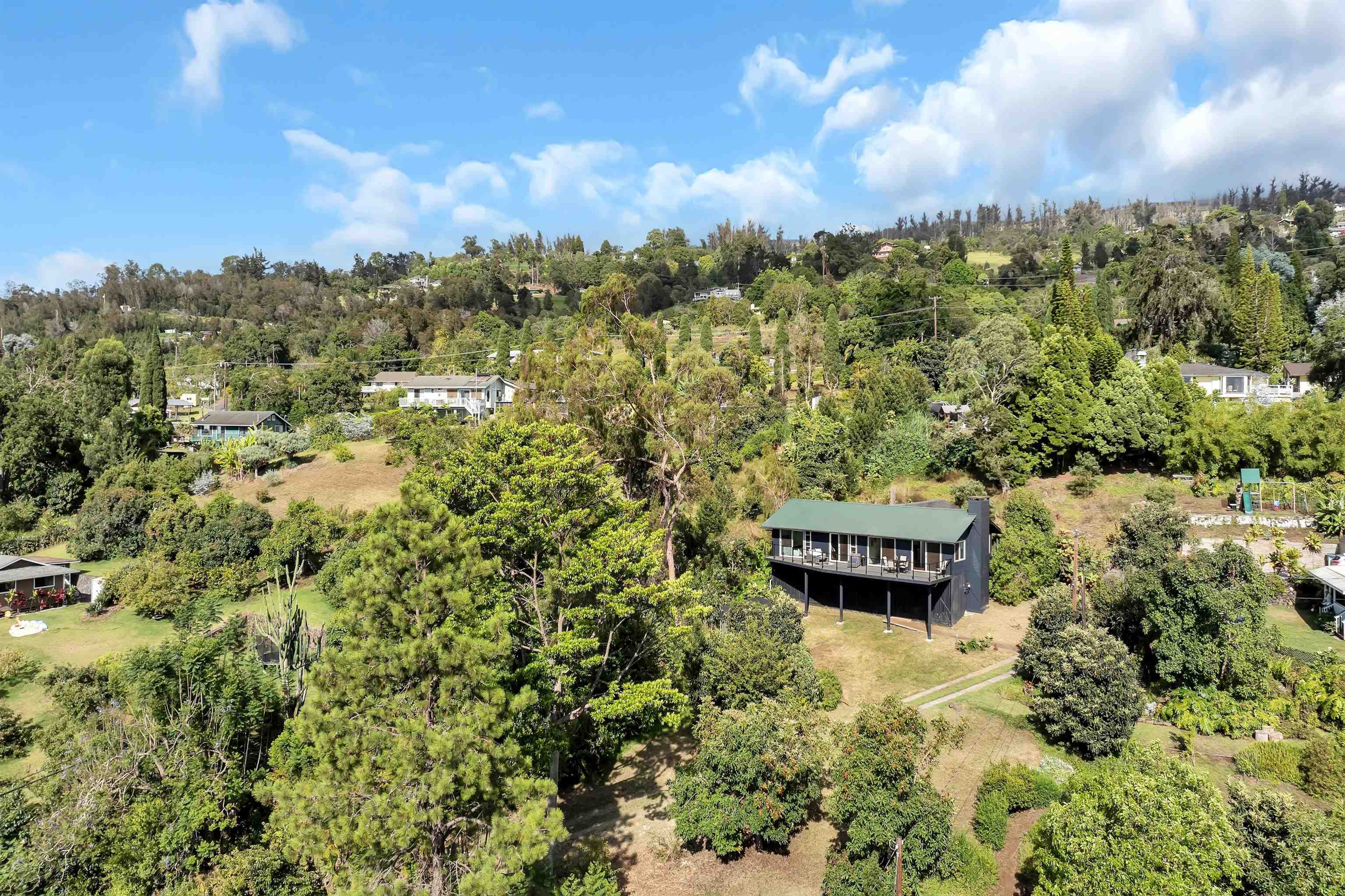 15980  Haleakala Hwy Crater Road, Kula/Ulupalakua/Kanaio home - photo 24 of 27