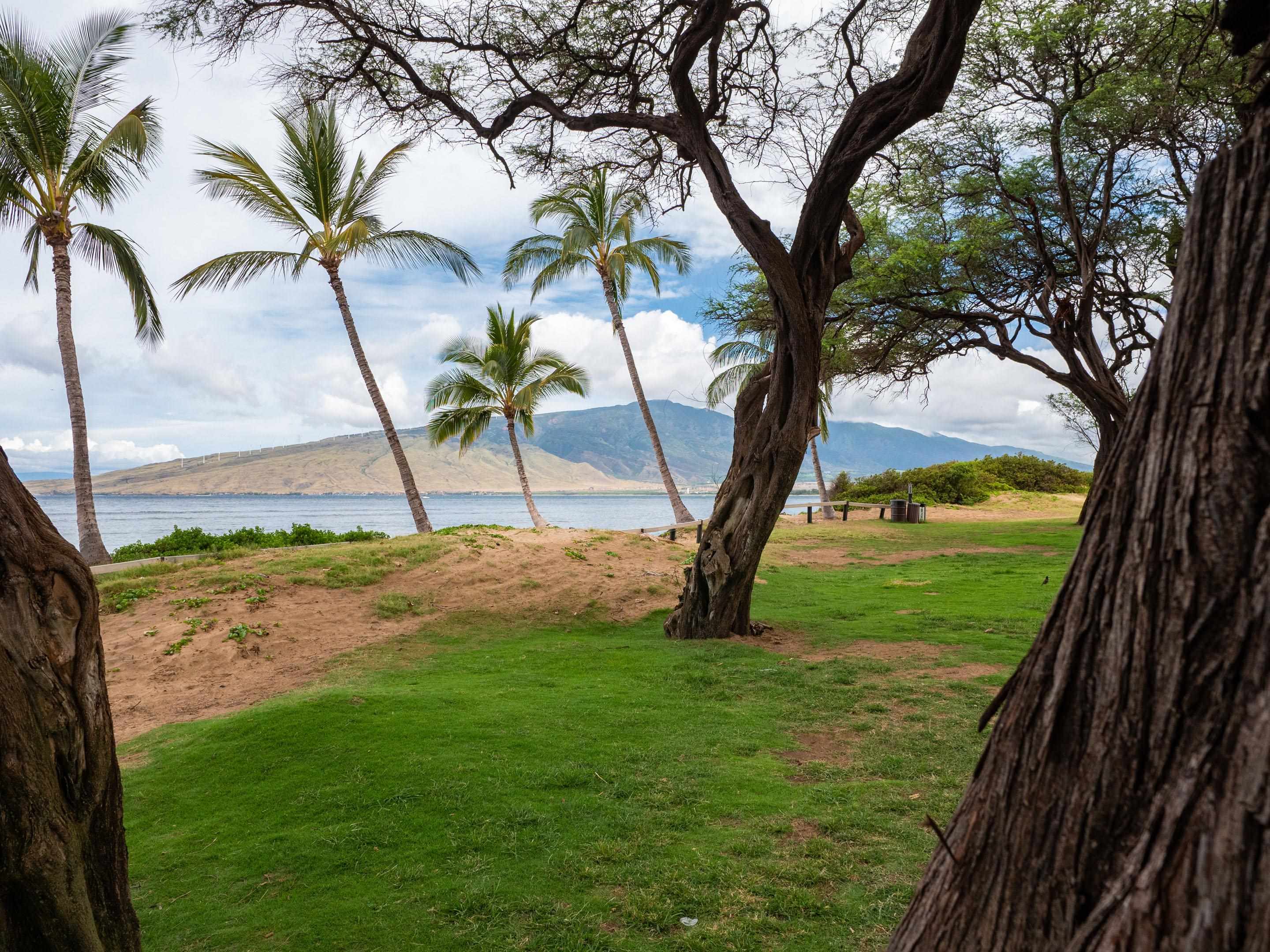 Kai Makani condo # 202, Kihei, Hawaii - photo 7 of 10