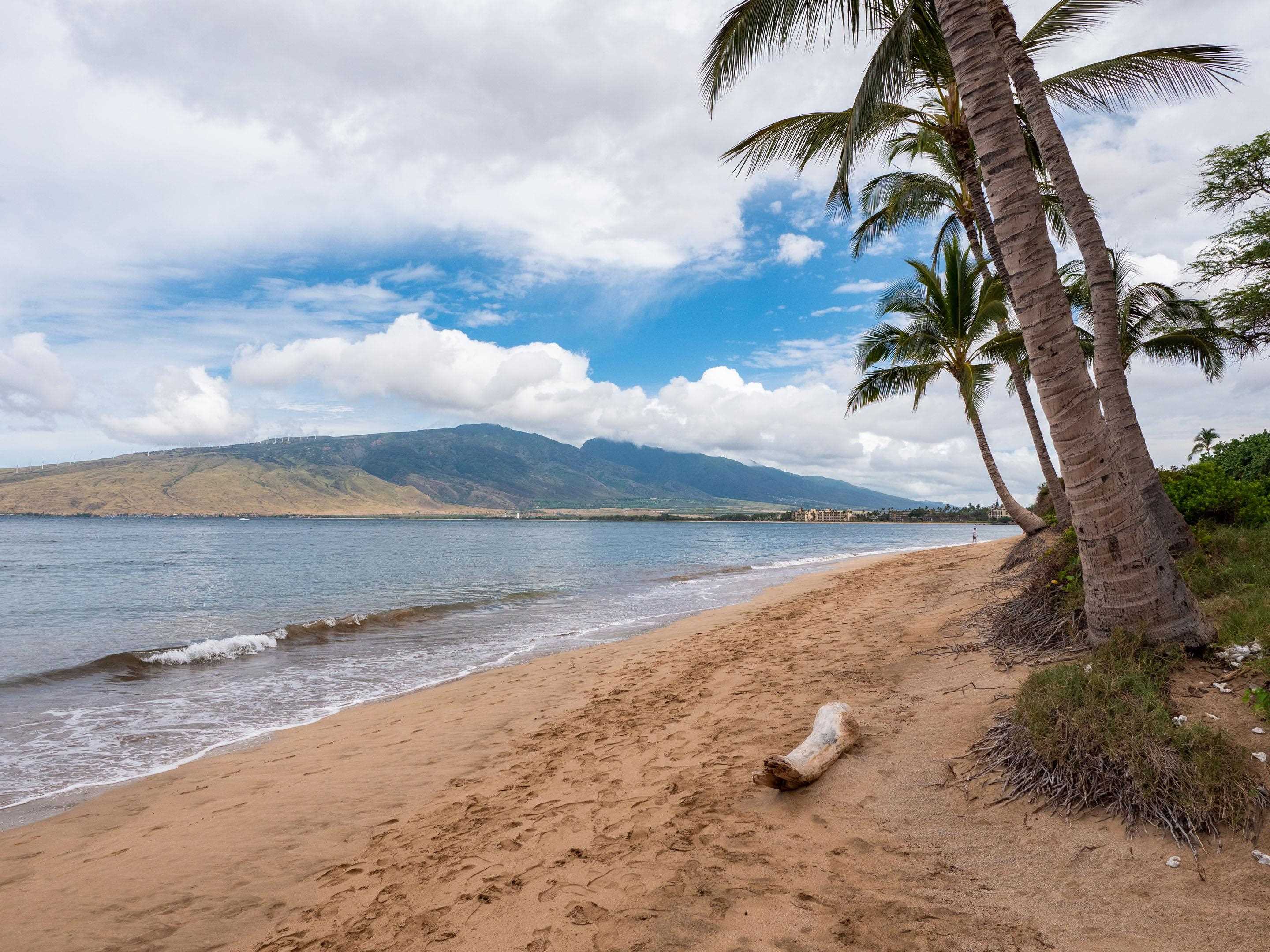 Kai Makani condo # 202, Kihei, Hawaii - photo 9 of 10