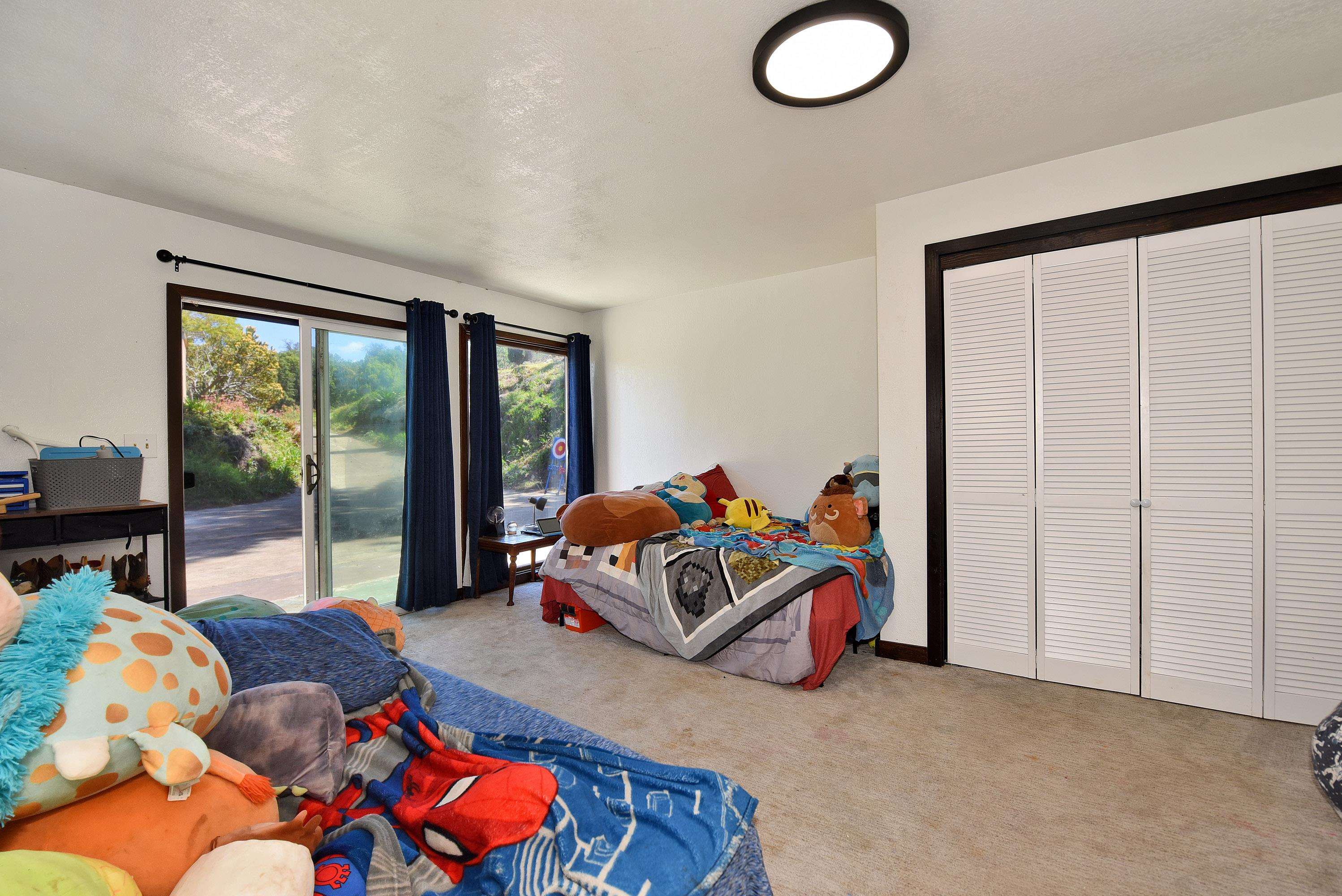 16  Kekaulike Ave , Kula/Ulupalakua/Kanaio home - photo 15 of 50