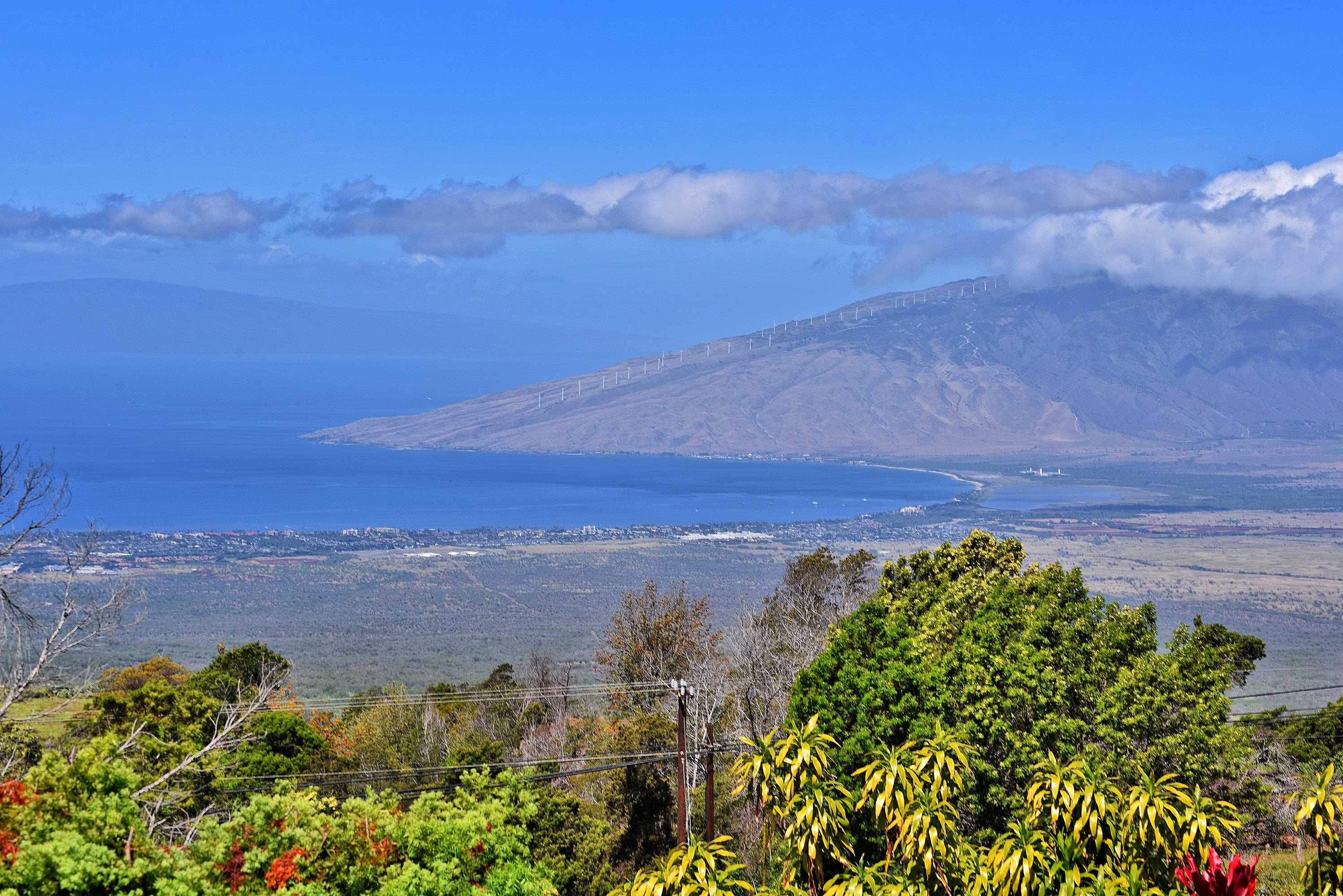 16  Kekaulike Ave , Kula/Ulupalakua/Kanaio home - photo 4 of 50