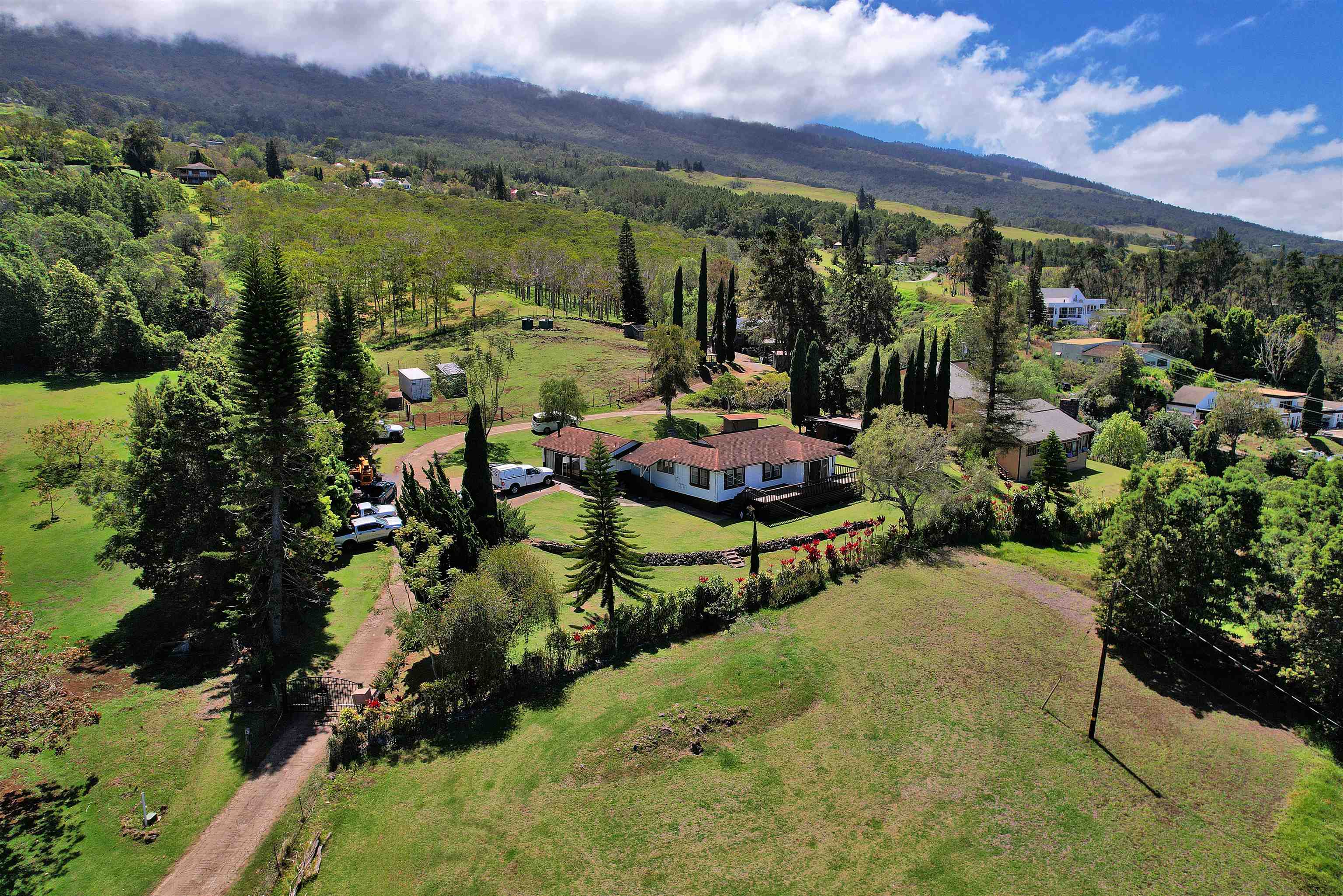 16  Kekaulike Ave , Kula/Ulupalakua/Kanaio home - photo 33 of 50