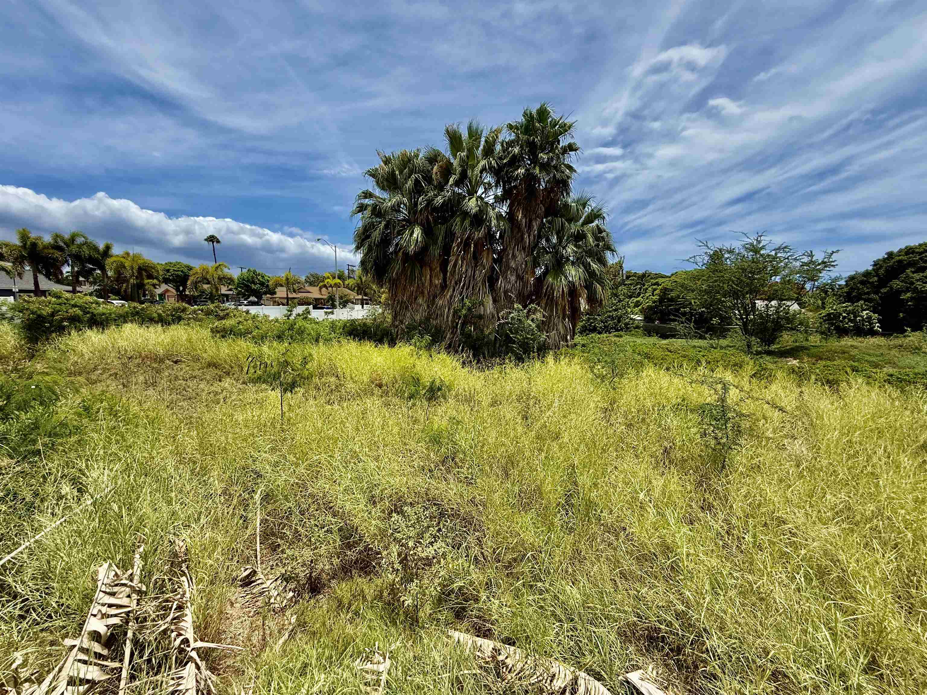 16  Waipuilani Rd , Kihei home - photo 5 of 6