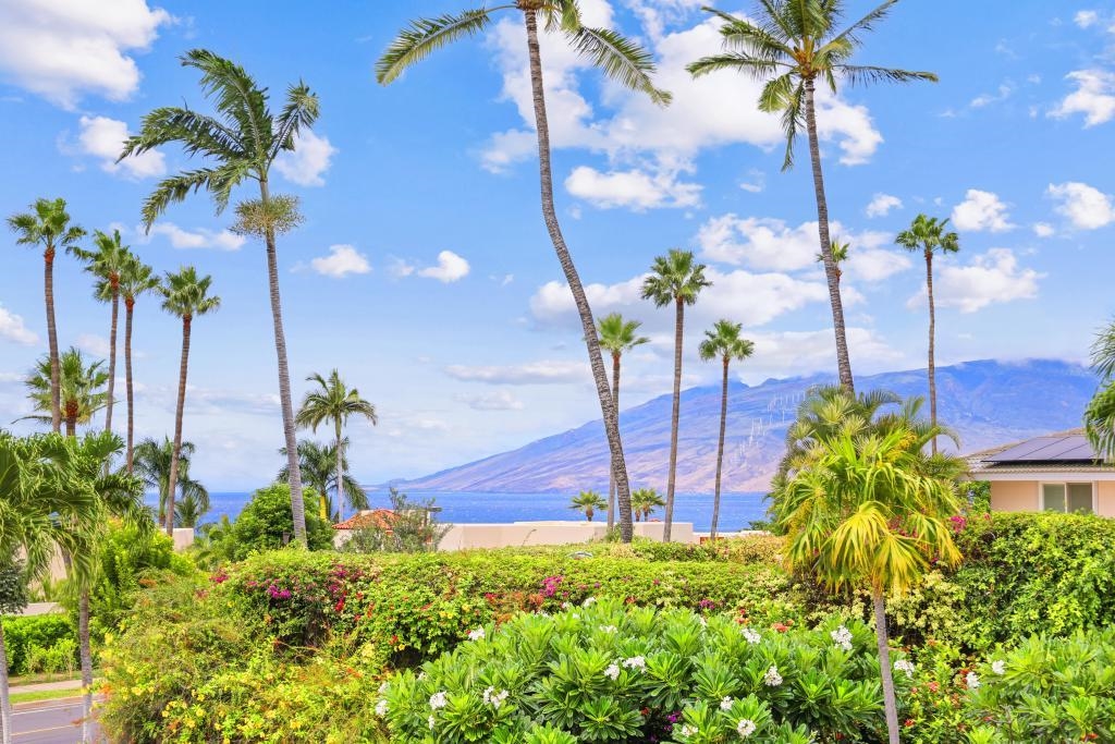 160  Heleuma Pl Wailea, Wailea/Makena home - photo 48 of 50