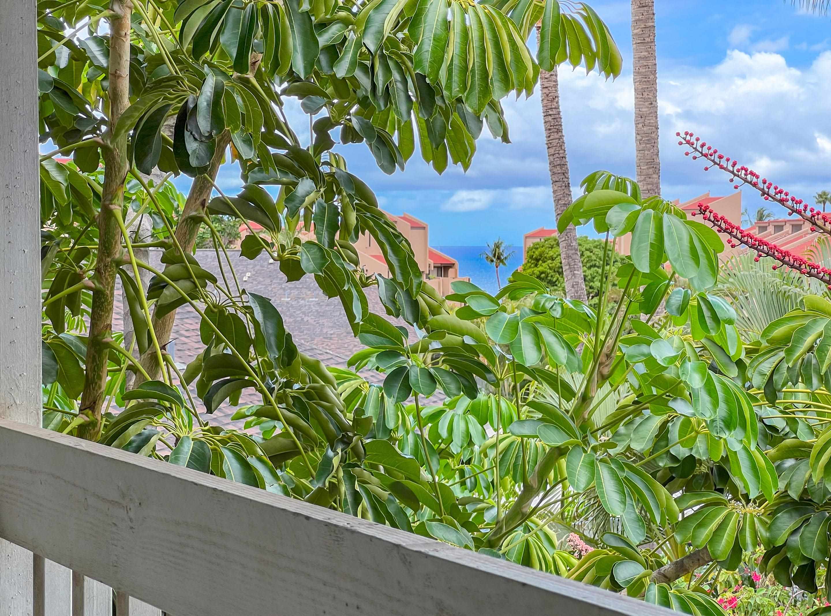 Keonekai Villages condo # 16203, Kihei, Hawaii - photo 14 of 23