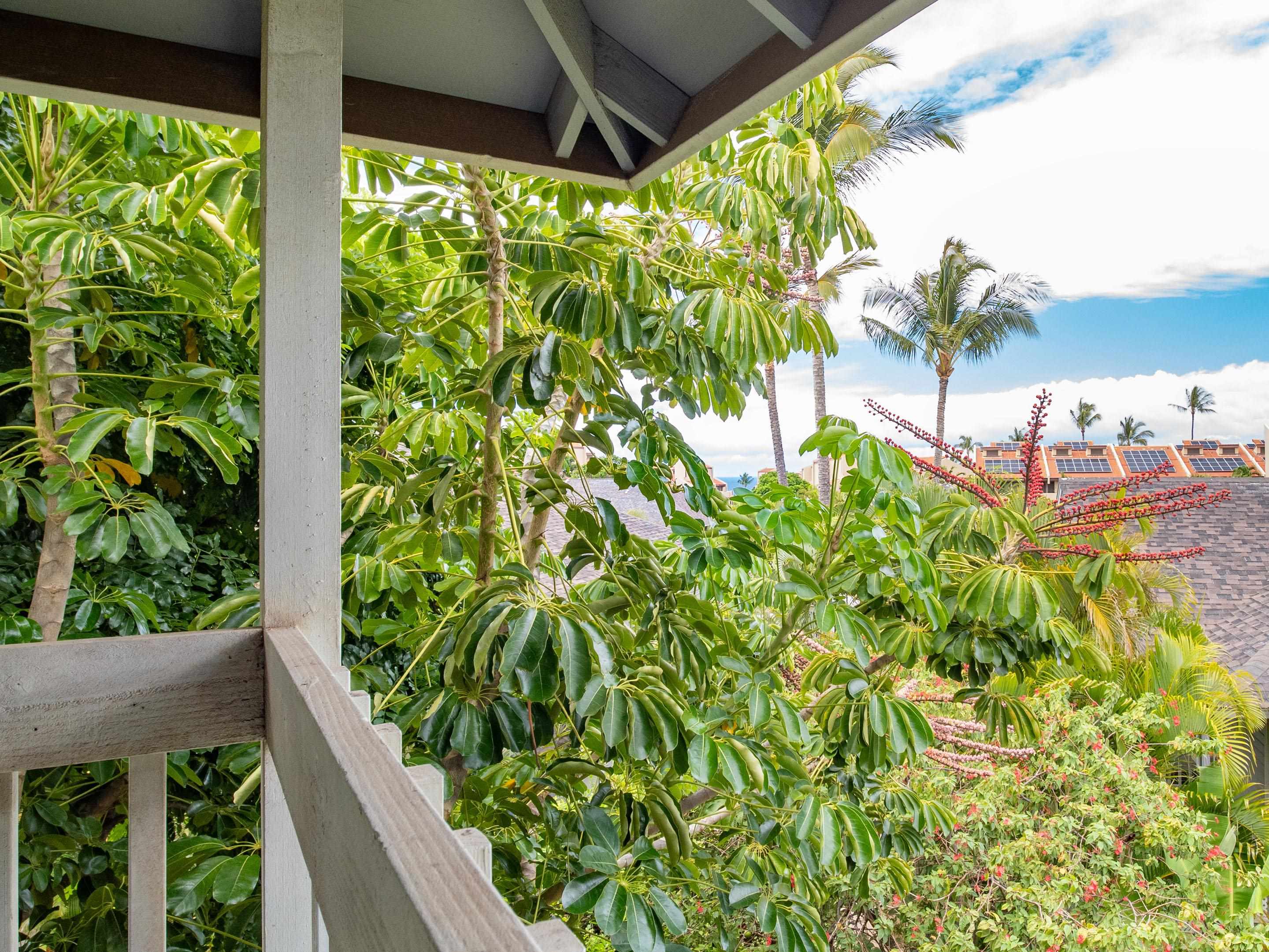 Keonekai Villages condo # 16203, Kihei, Hawaii - photo 10 of 23