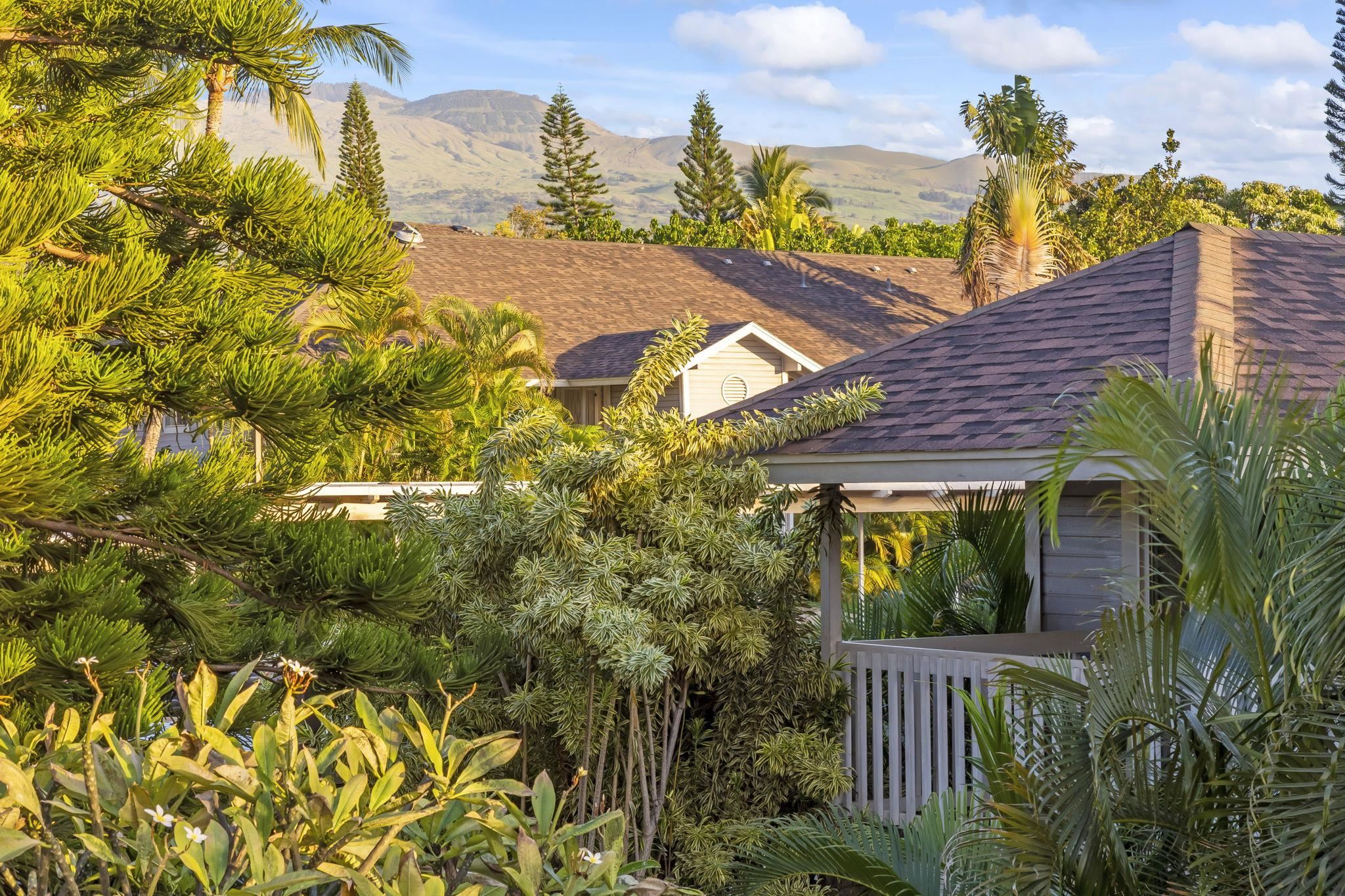 Keonekai Villages condo # 9-204, Kihei, Hawaii - photo 11 of 33