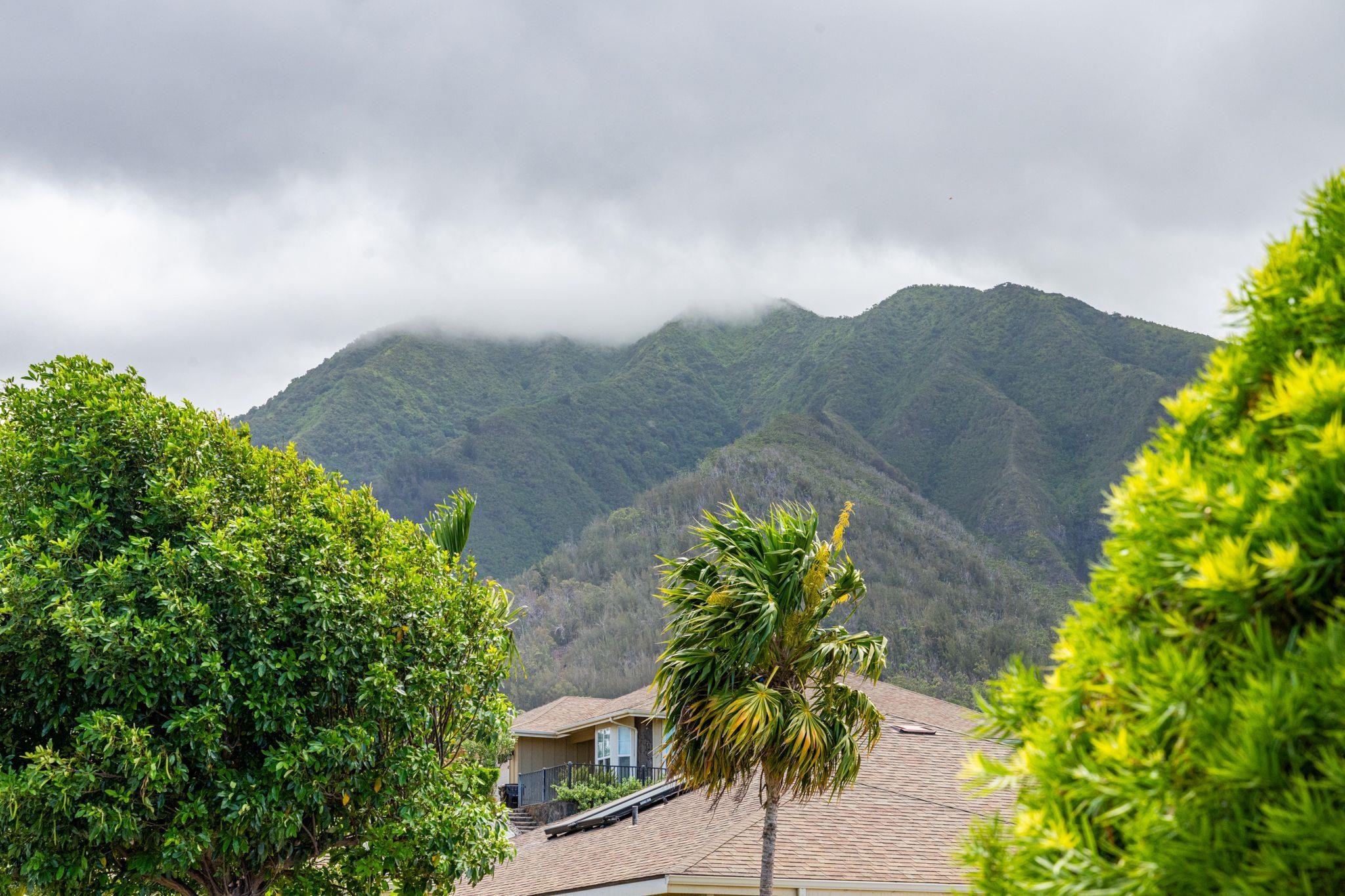 160  Kinohi Loa Loop Loop Kehalani, Wailuku home - photo 4 of 50