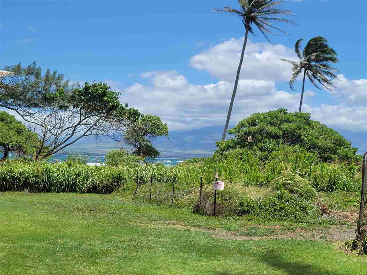 160 Lower Waiehu Beach Rd  Wailuku, Hi vacant land for sale - photo 4 of 7