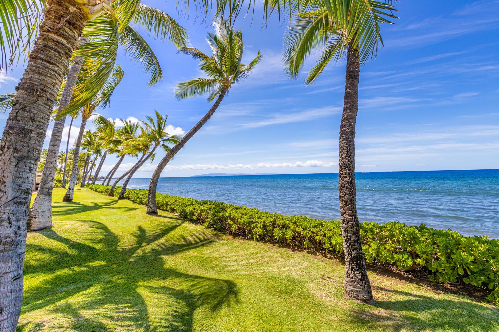Puamana condo # 160-4, Lahaina, Hawaii - photo 4 of 47
