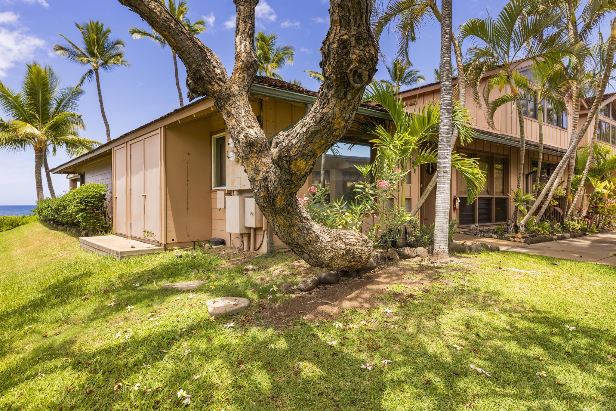 Puamana condo # 160-4, Lahaina, Hawaii - photo 35 of 47