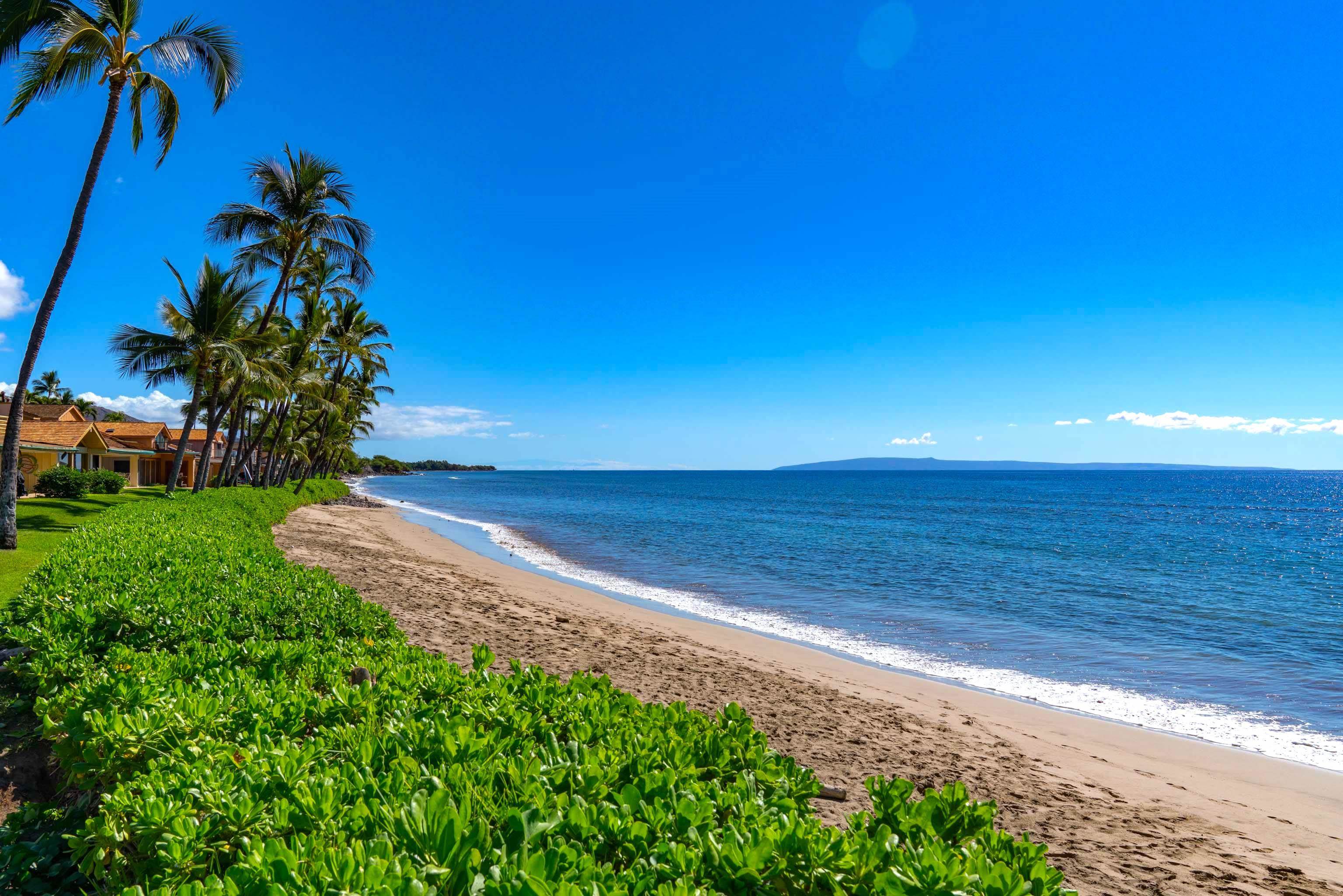 Puamana condo # 160-4, Lahaina, Hawaii - photo 38 of 47