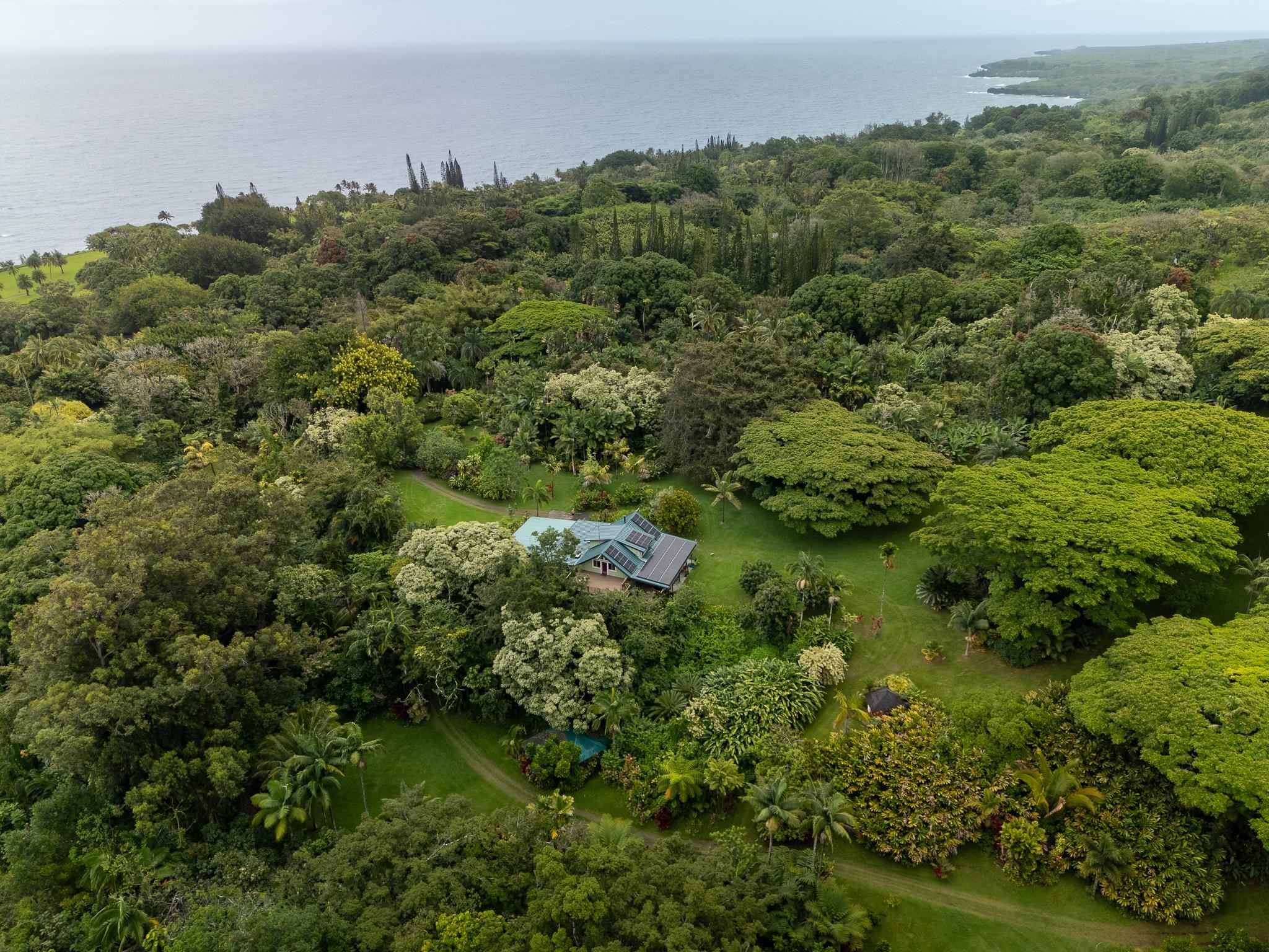 1600  Lower Nahiku Rd , Hana home - photo 3 of 37