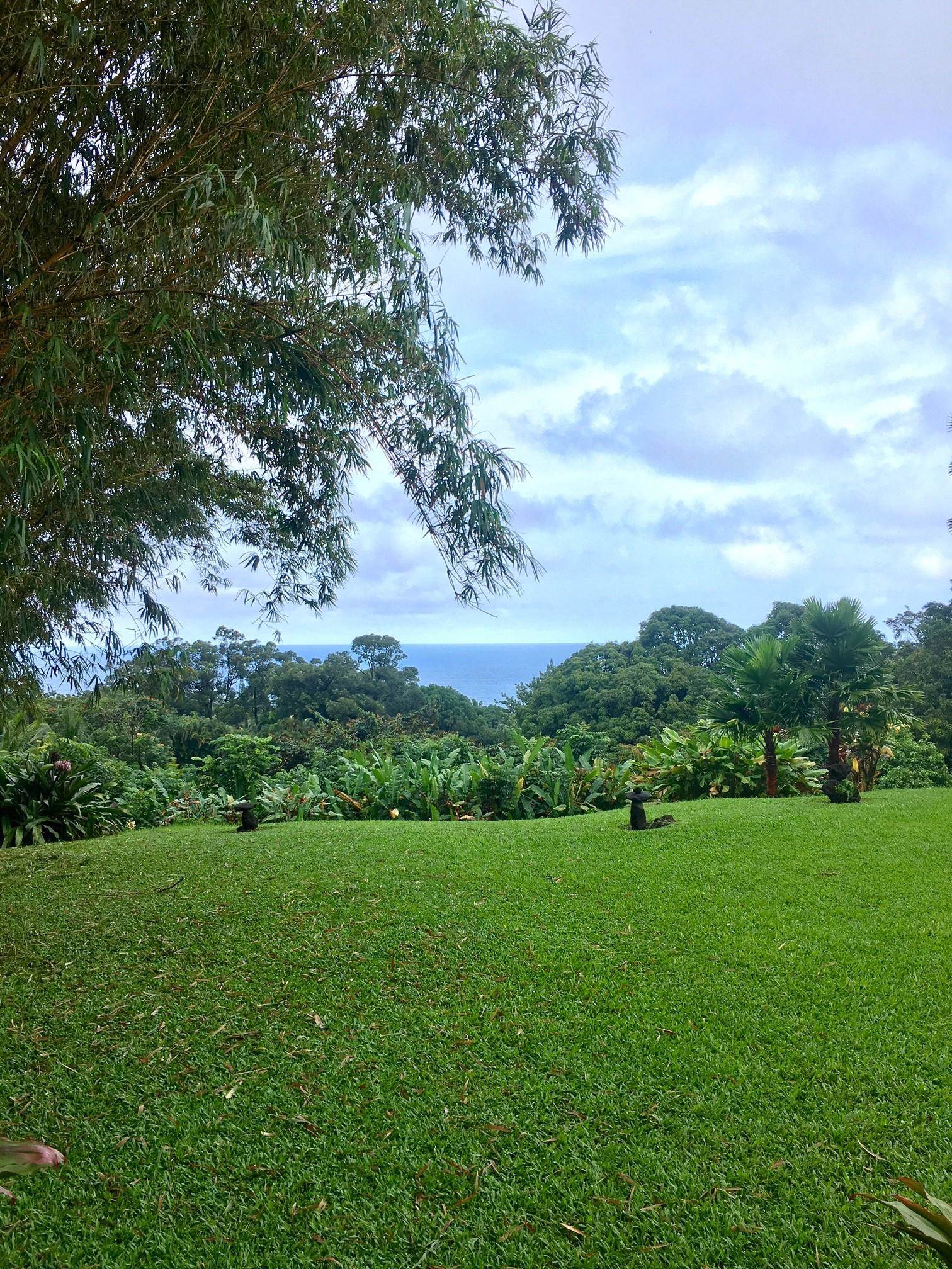 1600  Lower Nahiku Rd , Hana home - photo 25 of 37