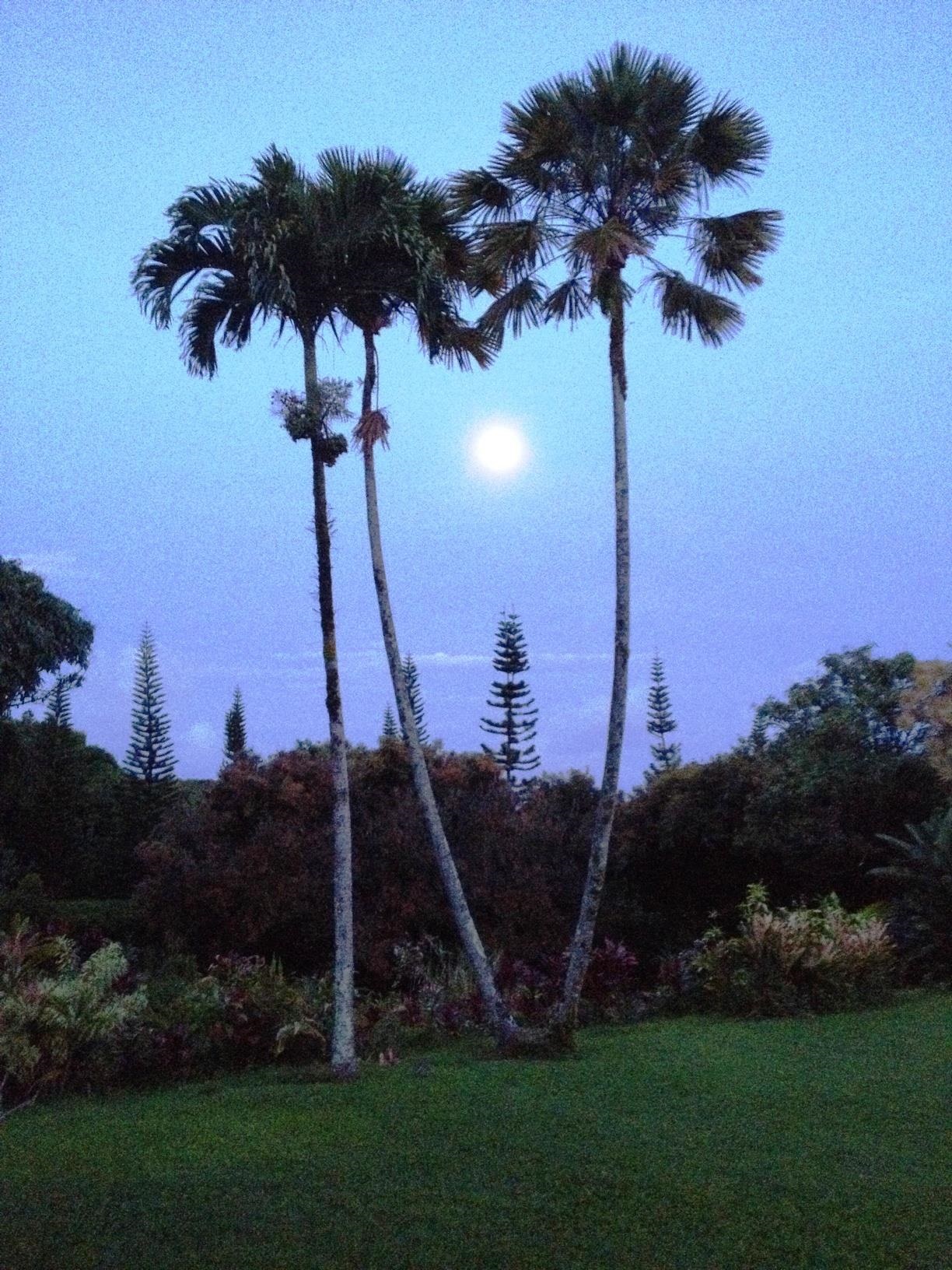 1600  Lower Nahiku Rd , Hana home - photo 27 of 37