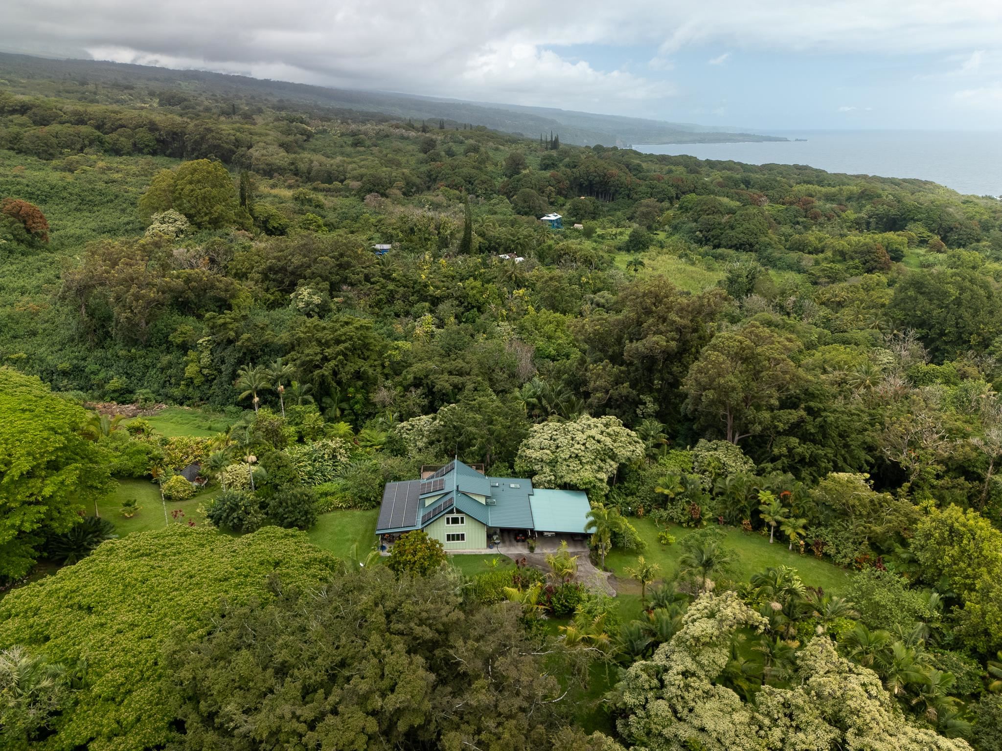 1600  Lower Nahiku Rd , Hana home - photo 4 of 37