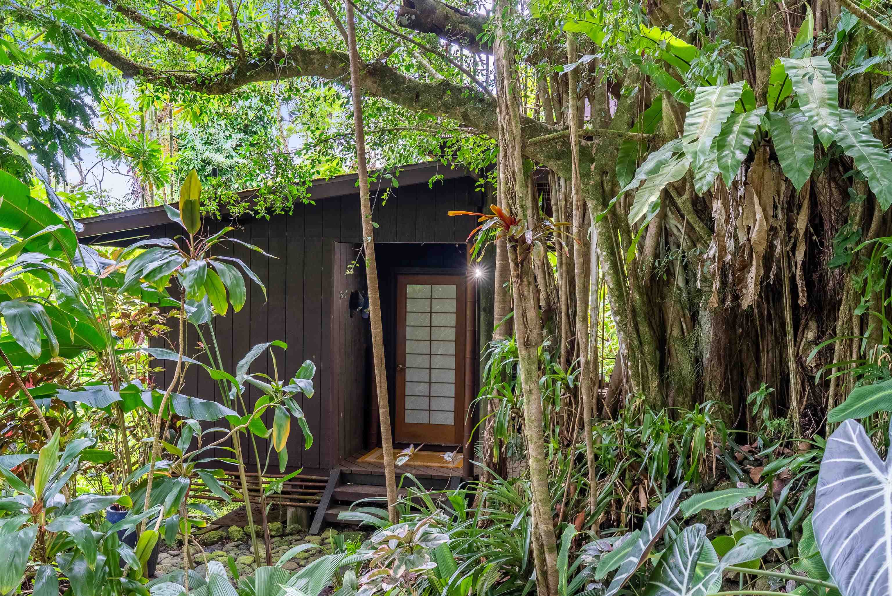 1600  Lower Nahiku Rd Lower Nahiku, Hana home - photo 12 of 23