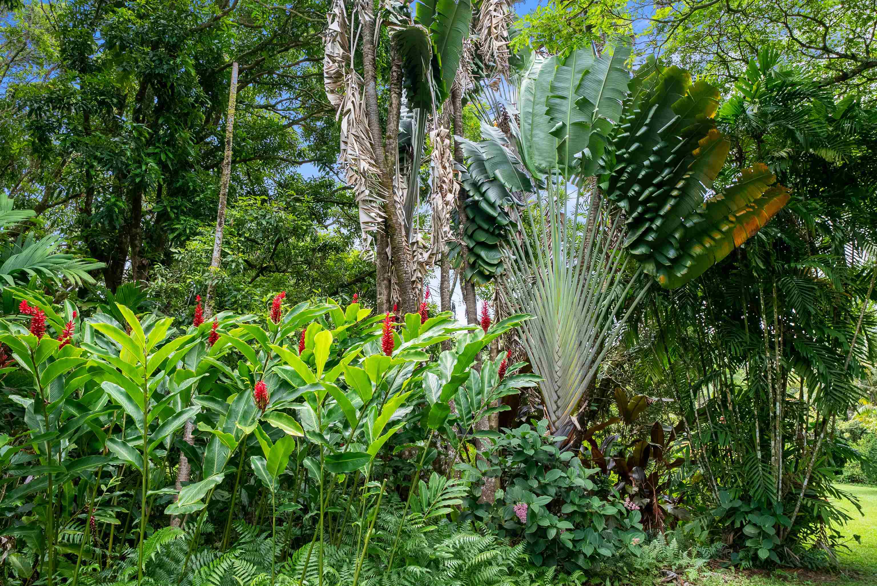 1600  Lower Nahiku Rd Lower Nahiku, Hana home - photo 15 of 23
