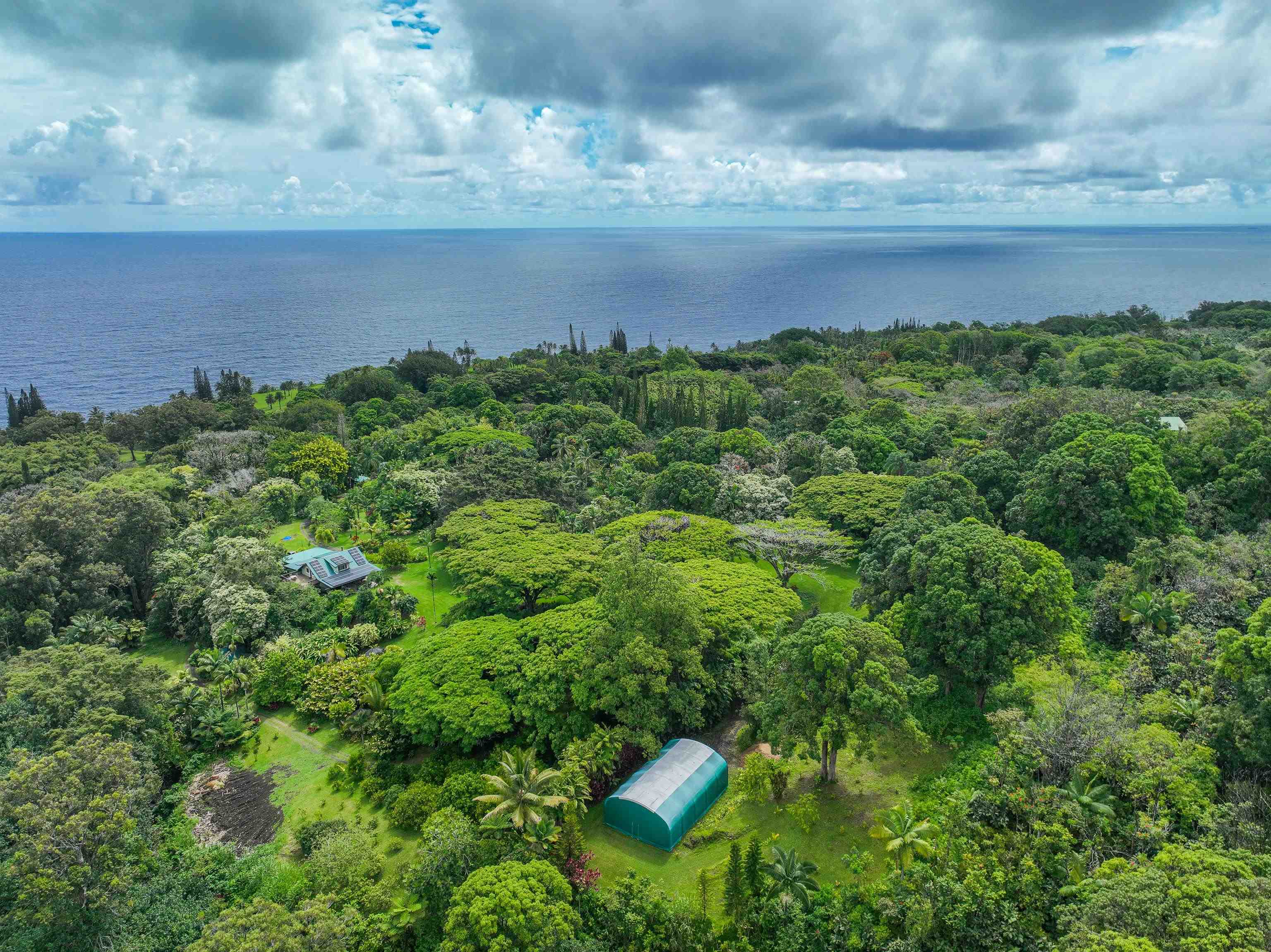 1600  Lower Nahiku Rd Lower Nahiku, Hana home - photo 3 of 23