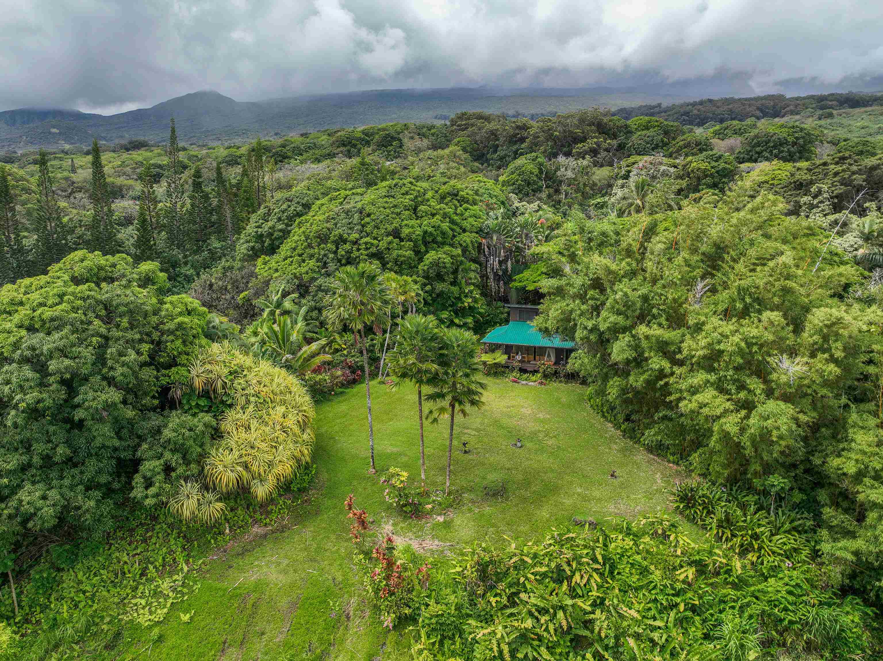 1600  Lower Nahiku Rd Lower Nahiku, Hana home - photo 7 of 23