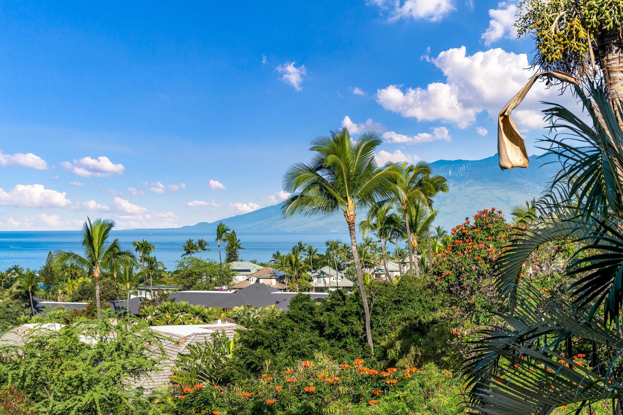 Wailea Town Center condo # C-203, Kihei, Hawaii - photo 45 of 47