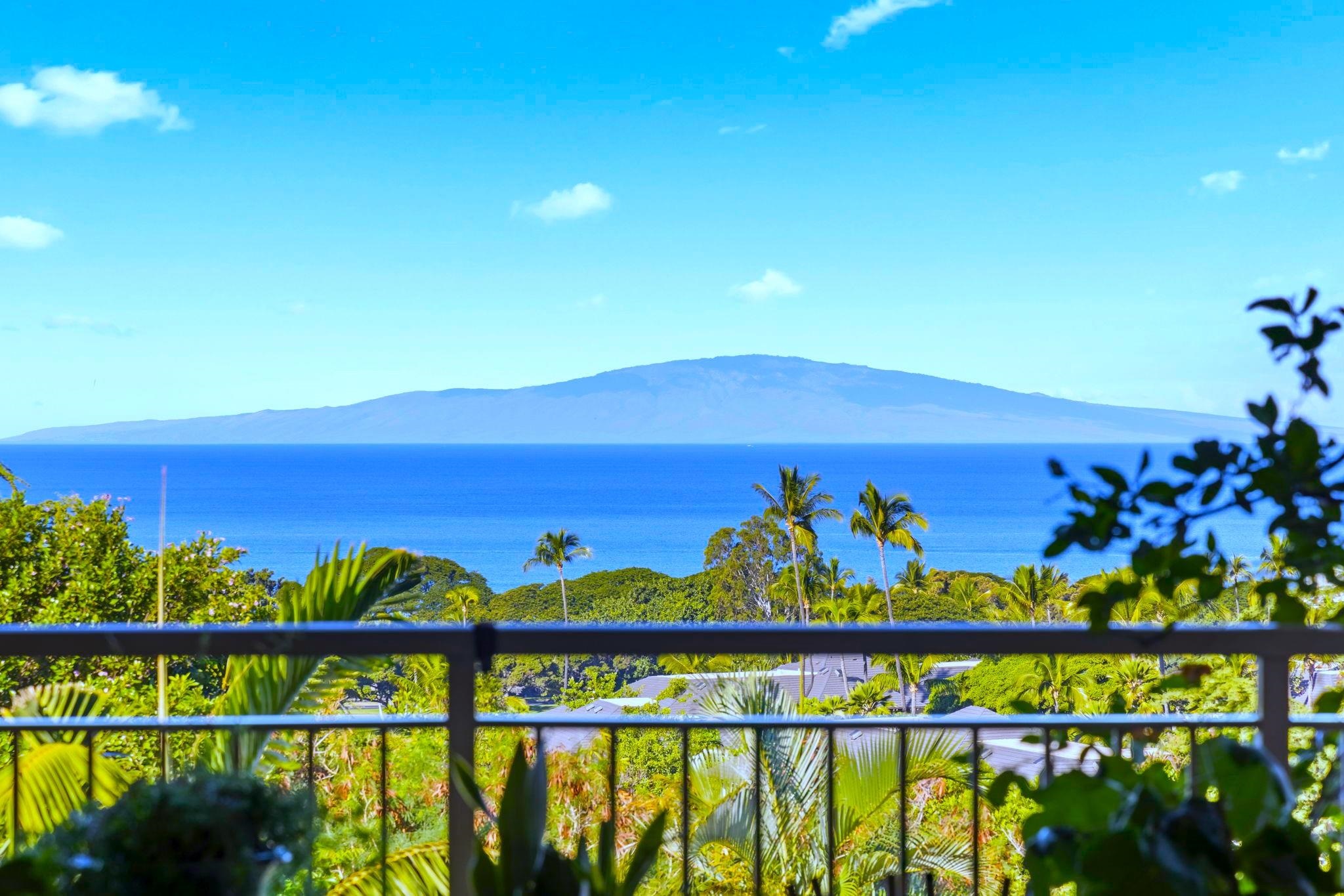 Wailea Town Center condo # C-203, Kihei, Hawaii - photo 4 of 50
