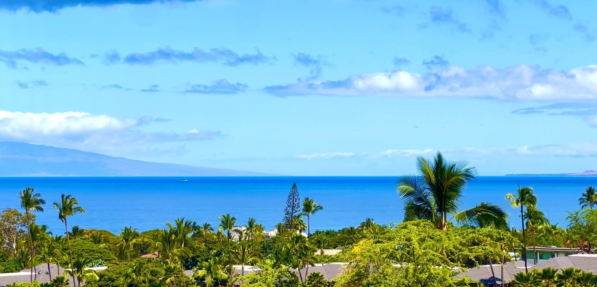 Wailea Town Center condo # C-203, Kihei, Hawaii - photo 4 of 50