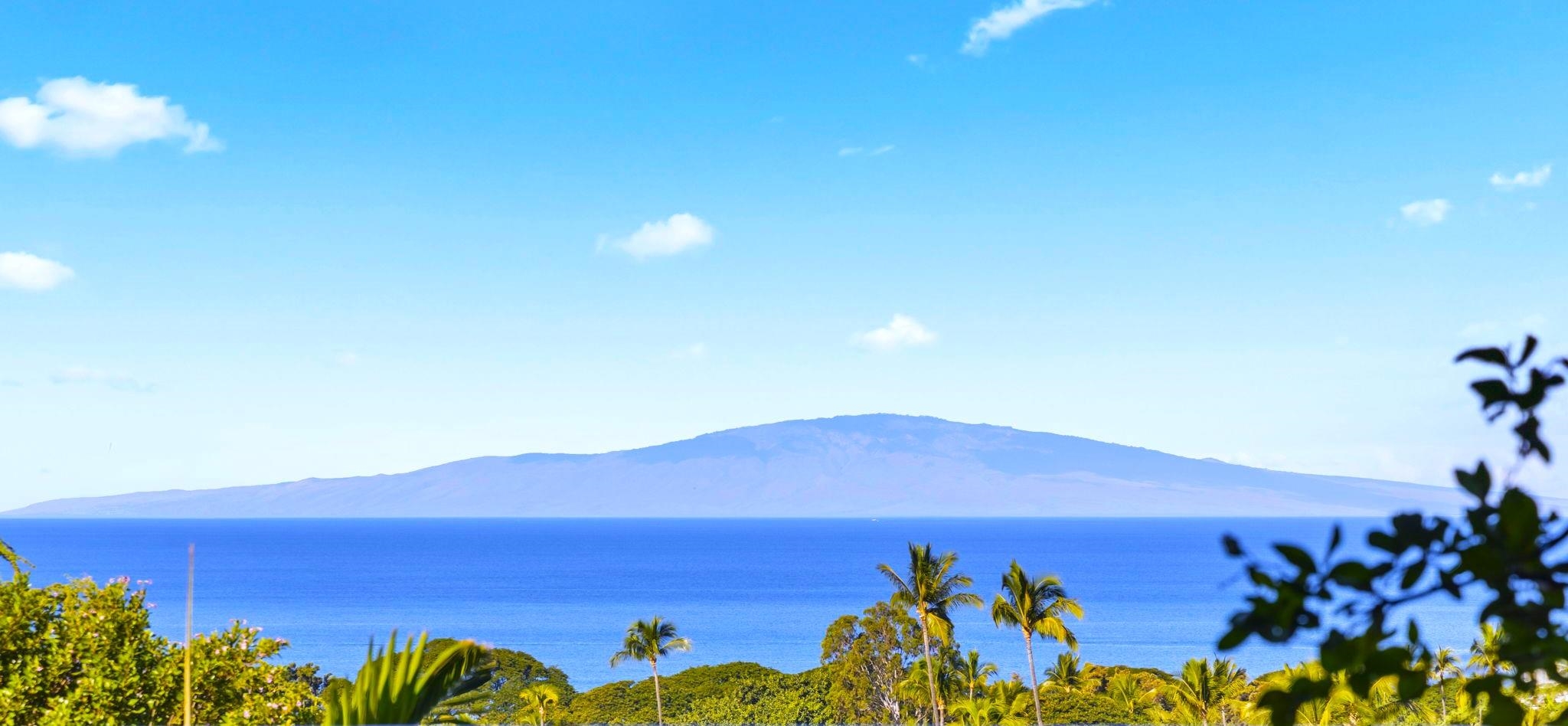 Wailea Town Center condo # C-203, Kihei, Hawaii - photo 41 of 50