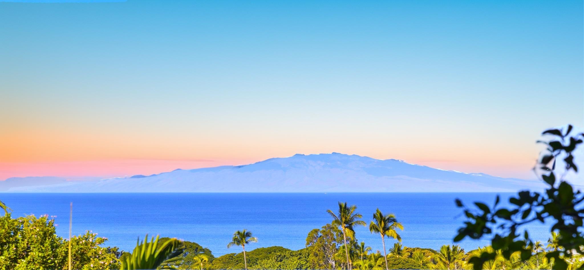 Wailea Town Center condo # C-203, Kihei, Hawaii - photo 47 of 50