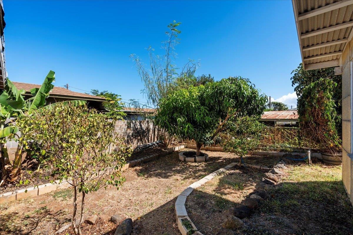 1610  Wili Pl , Wailuku home - photo 32 of 34