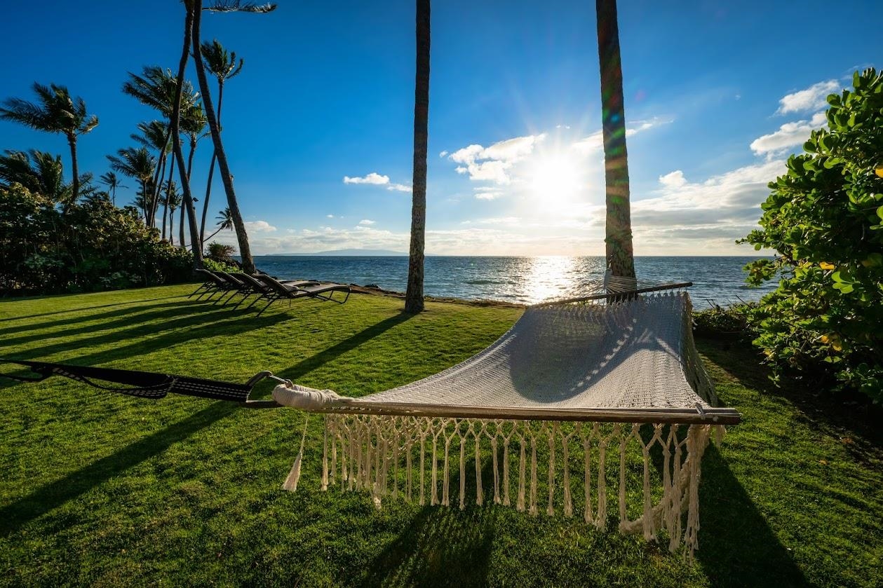 1614  Halama St Kihei, Kihei home - photo 42 of 50