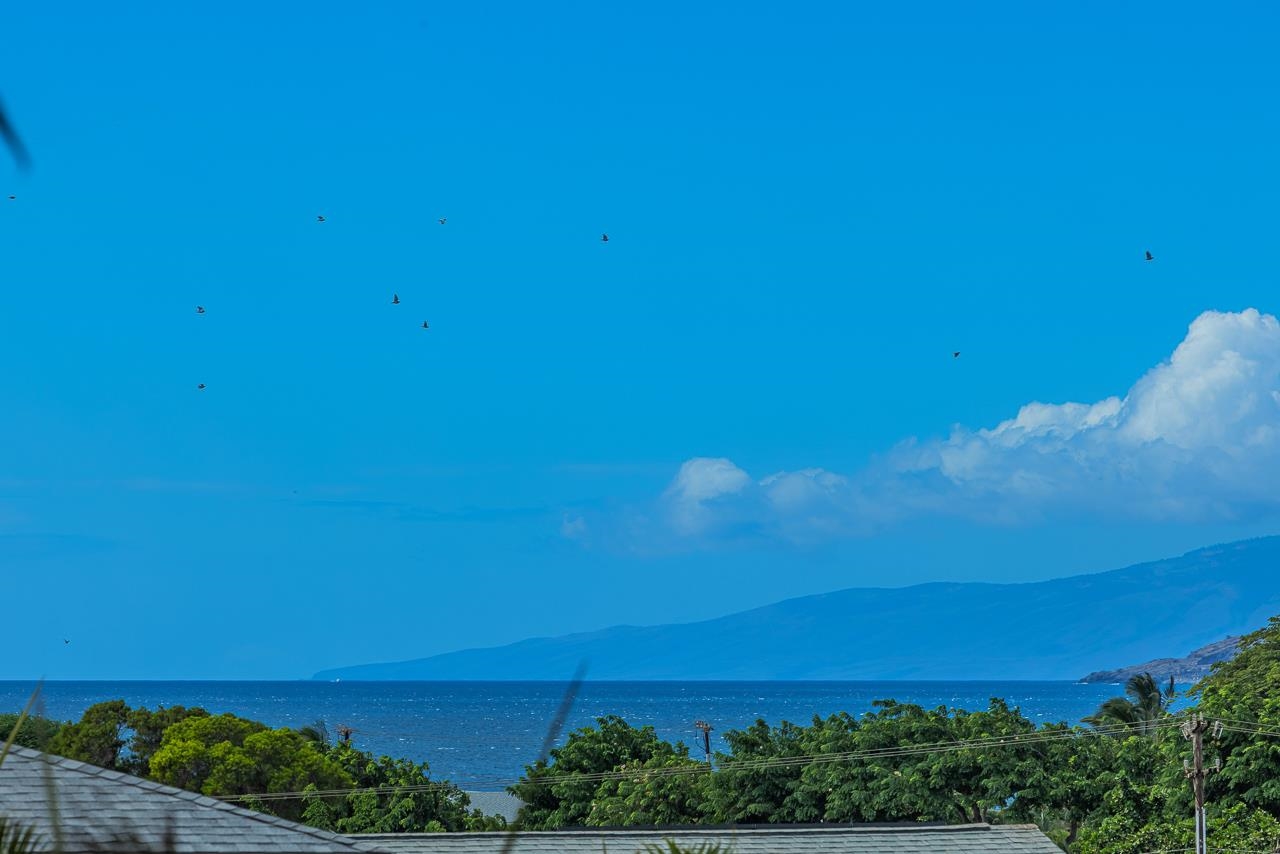 162  Aha'aina Way North Kihei, Kihei home - photo 29 of 32