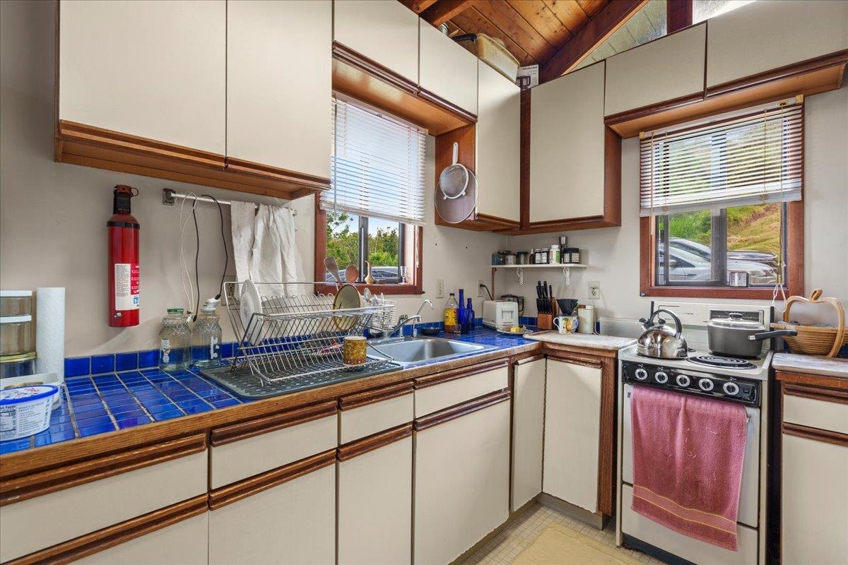 162  Koheo Rd Kula, Kula/Ulupalakua/Kanaio home - photo 46 of 50