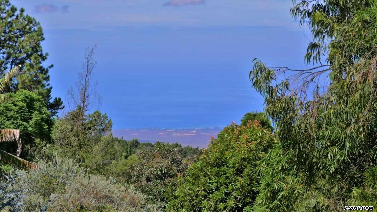 16200  Haleakala Hwy Kula Lodge, Kula/Ulupalakua/Kanaio home - photo 17 of 30