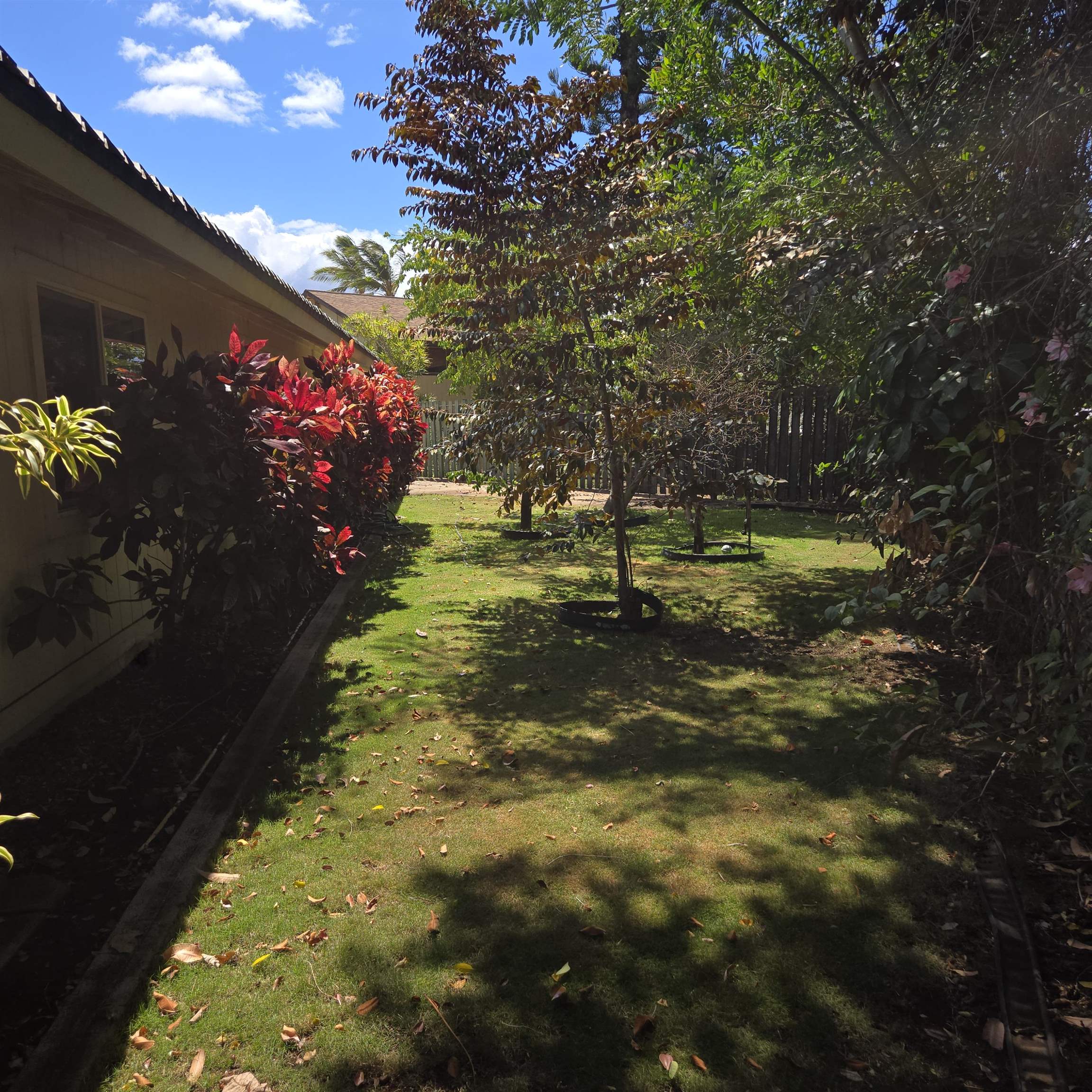 163  Mehani Cir Waimahaihai, Kihei home - photo 3 of 17