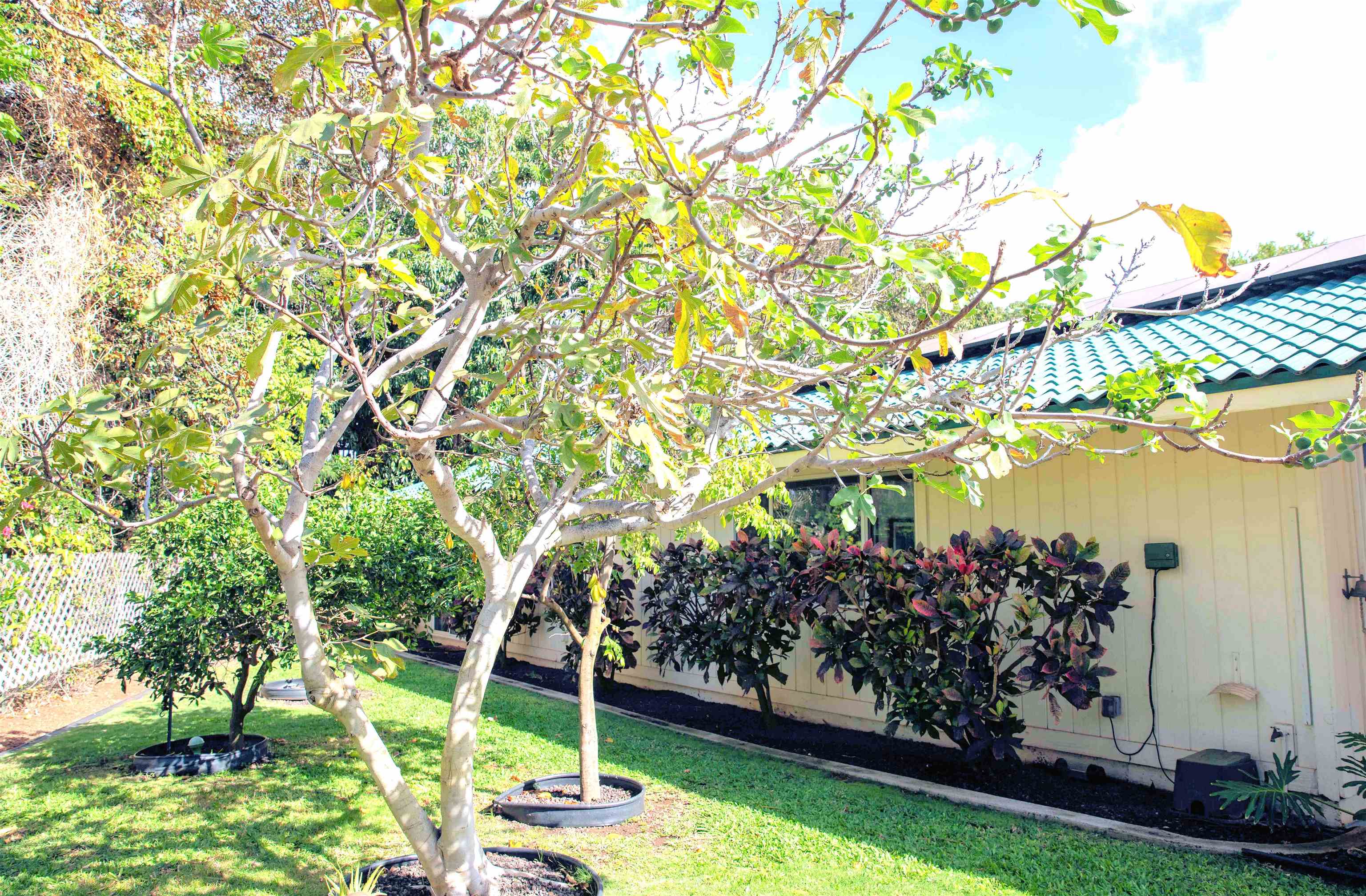 163  Mehani Cir Waimahaihai, Kihei home - photo 11 of 14