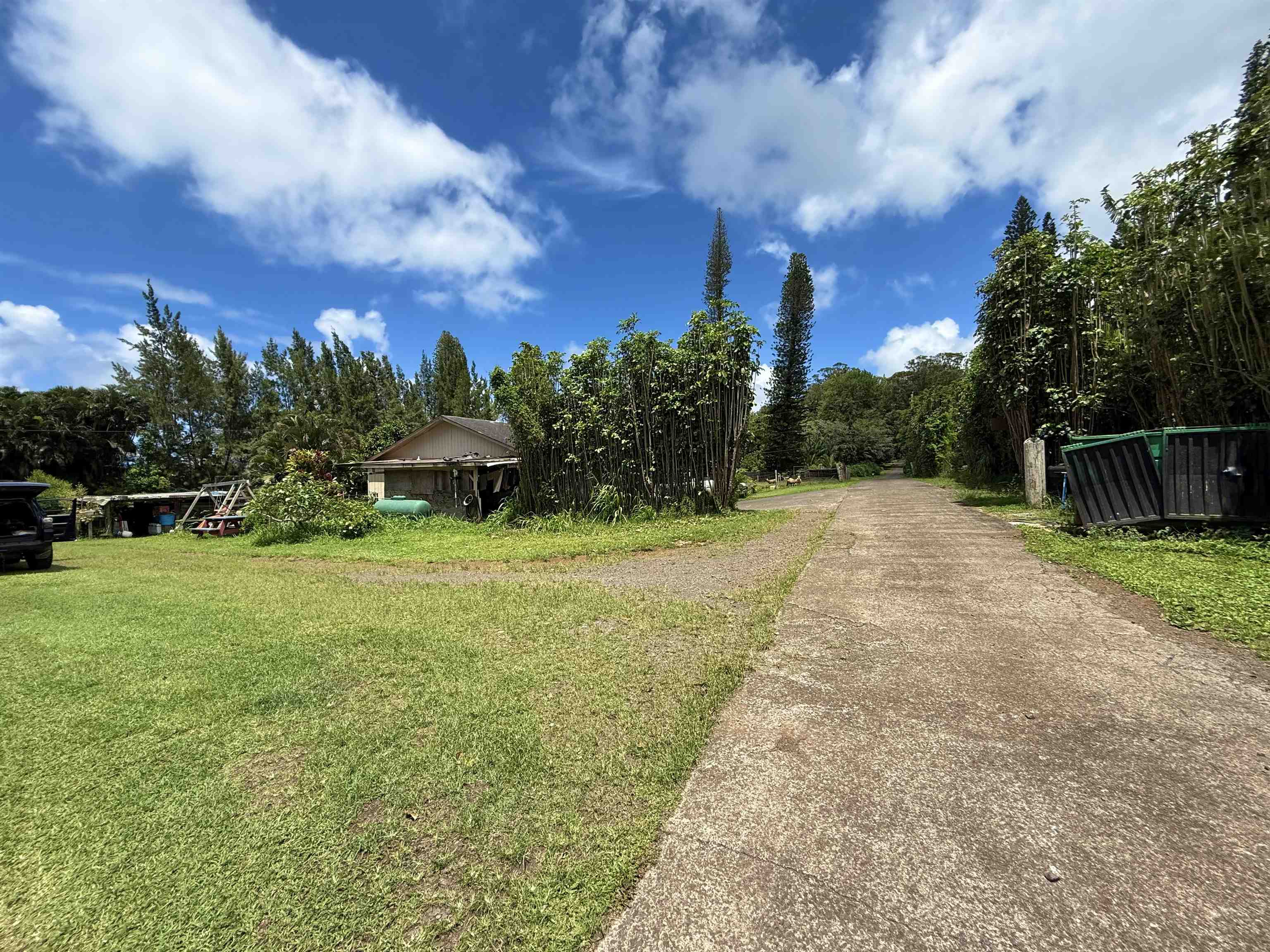 1630  Kauhikoa Rd , Haiku home - photo 20 of 48