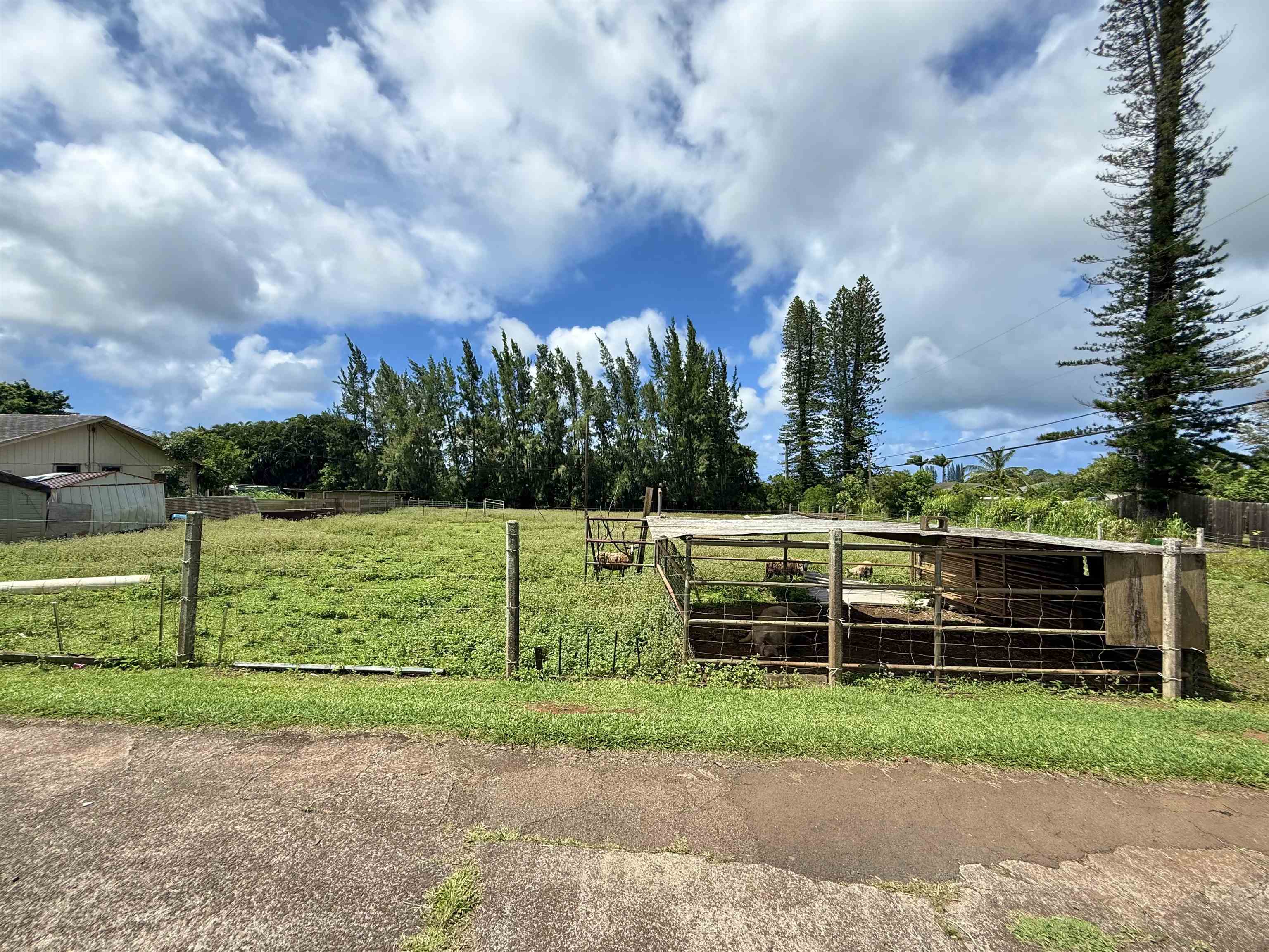 1630  Kauhikoa Rd , Haiku home - photo 3 of 48