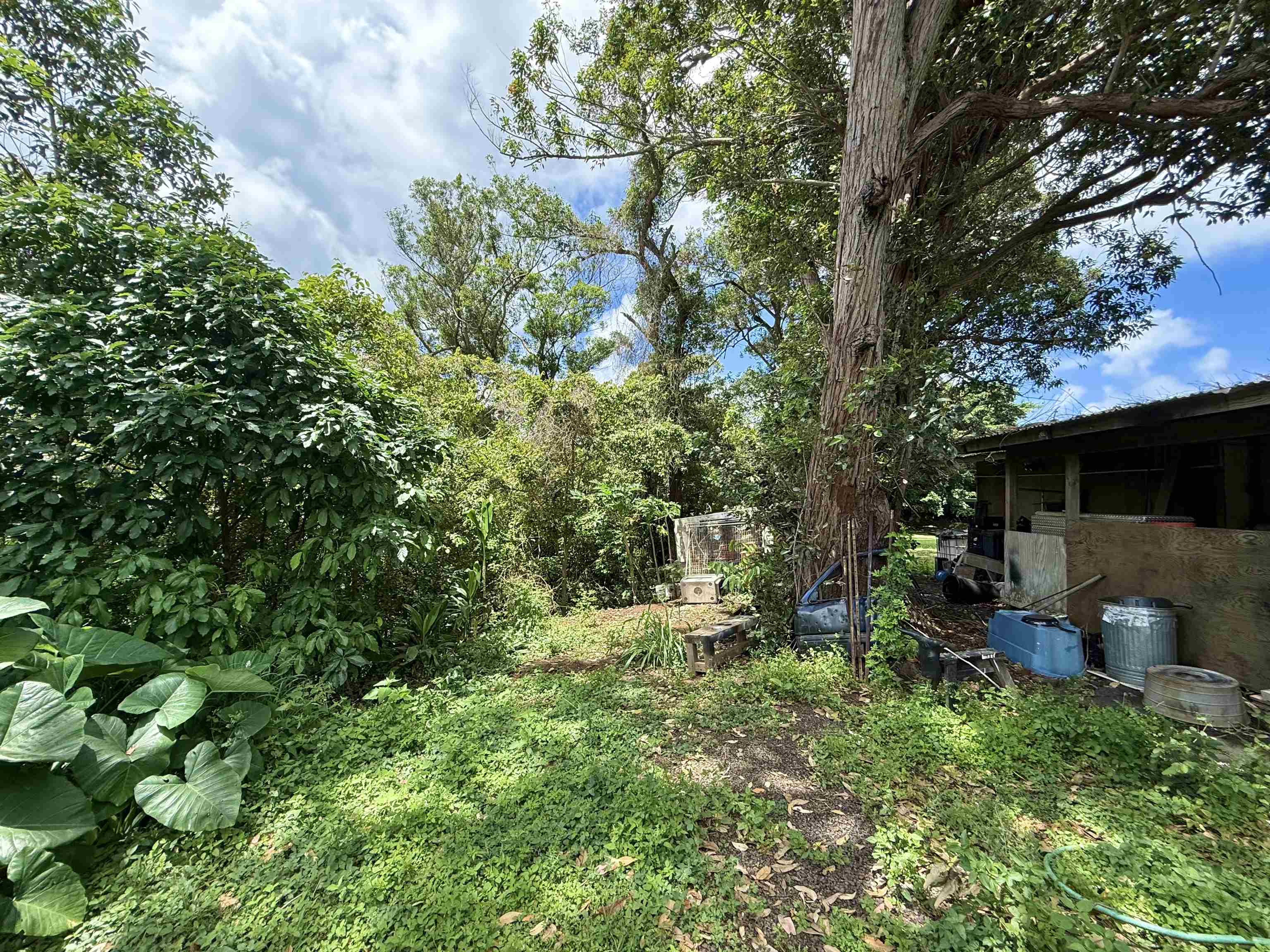 1630  Kauhikoa Rd , Haiku home - photo 22 of 48