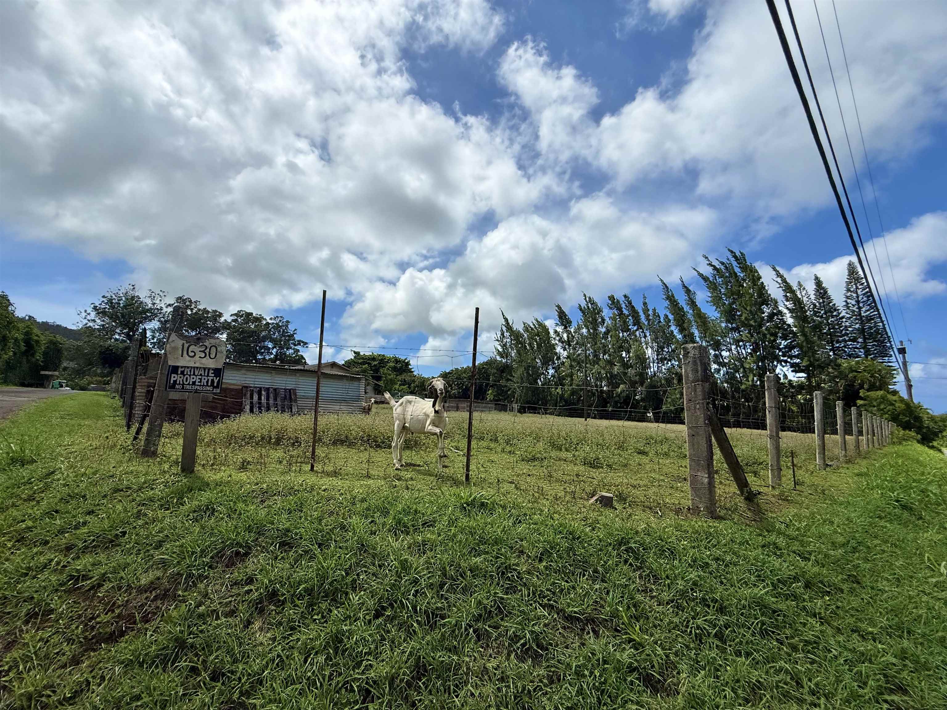1630  Kauhikoa Rd , Haiku home - photo 4 of 48