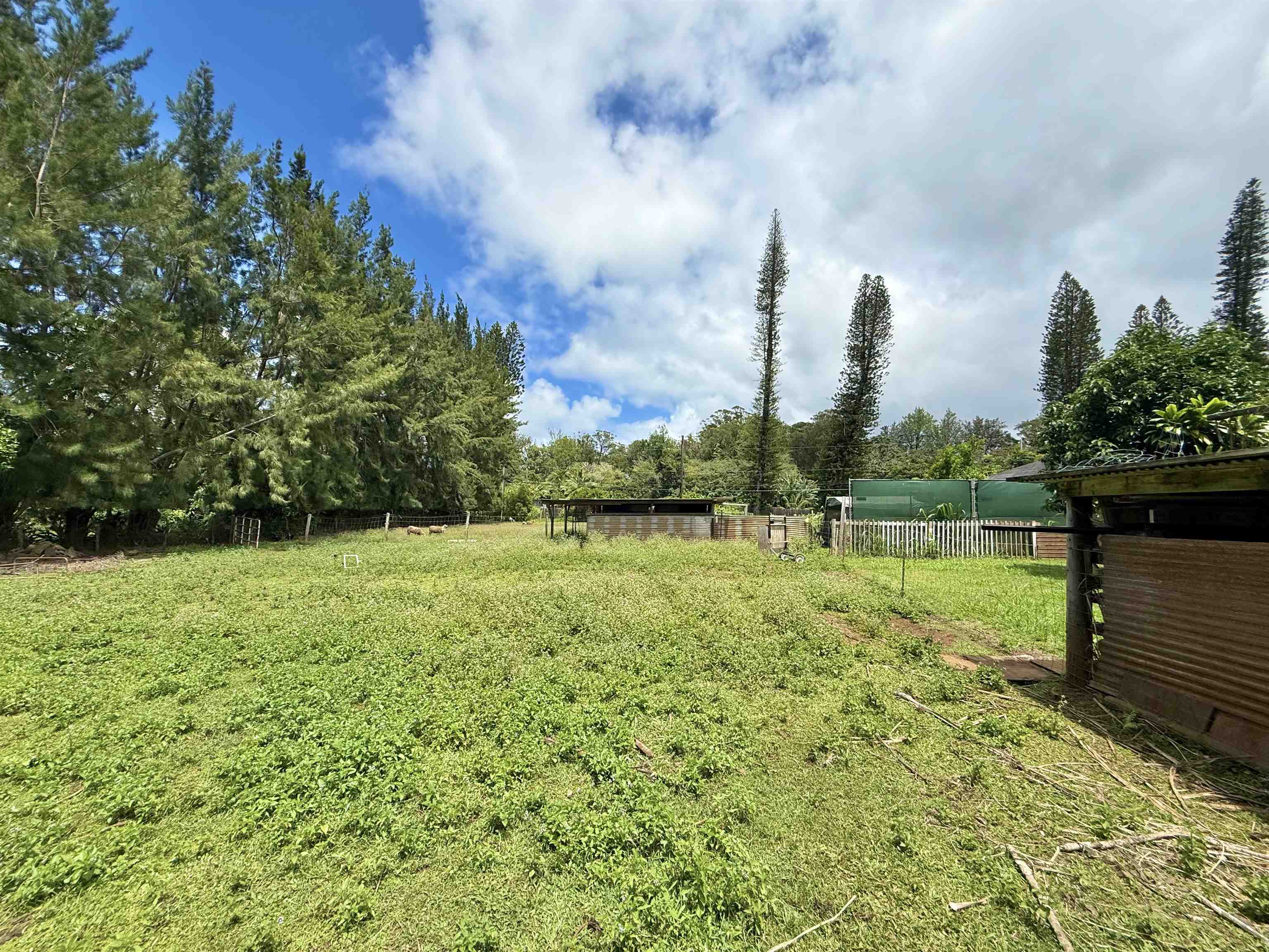 1630  Kauhikoa Rd , Haiku home - photo 38 of 48
