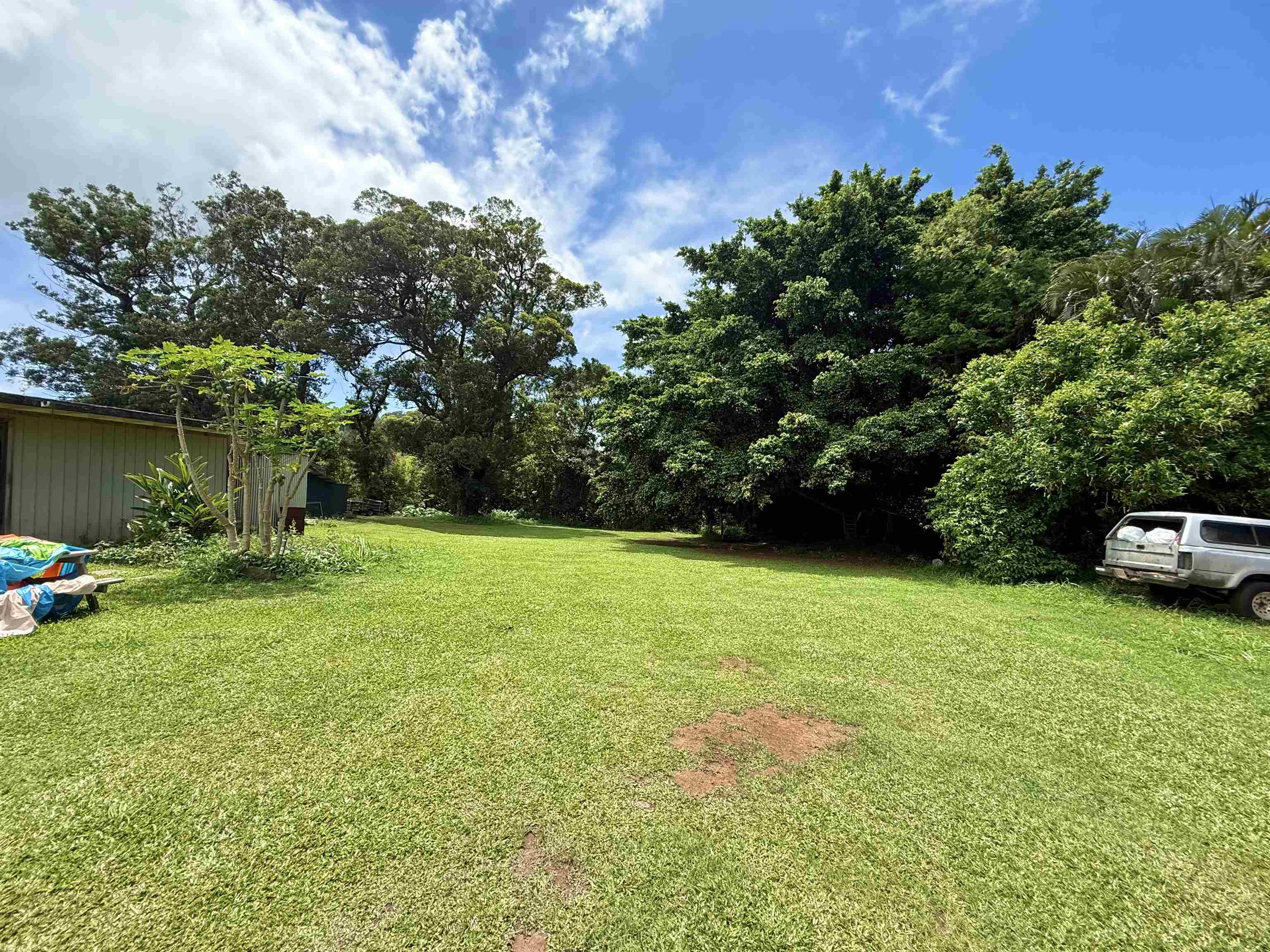 1630  Kauhikoa Rd , Haiku home - photo 39 of 48
